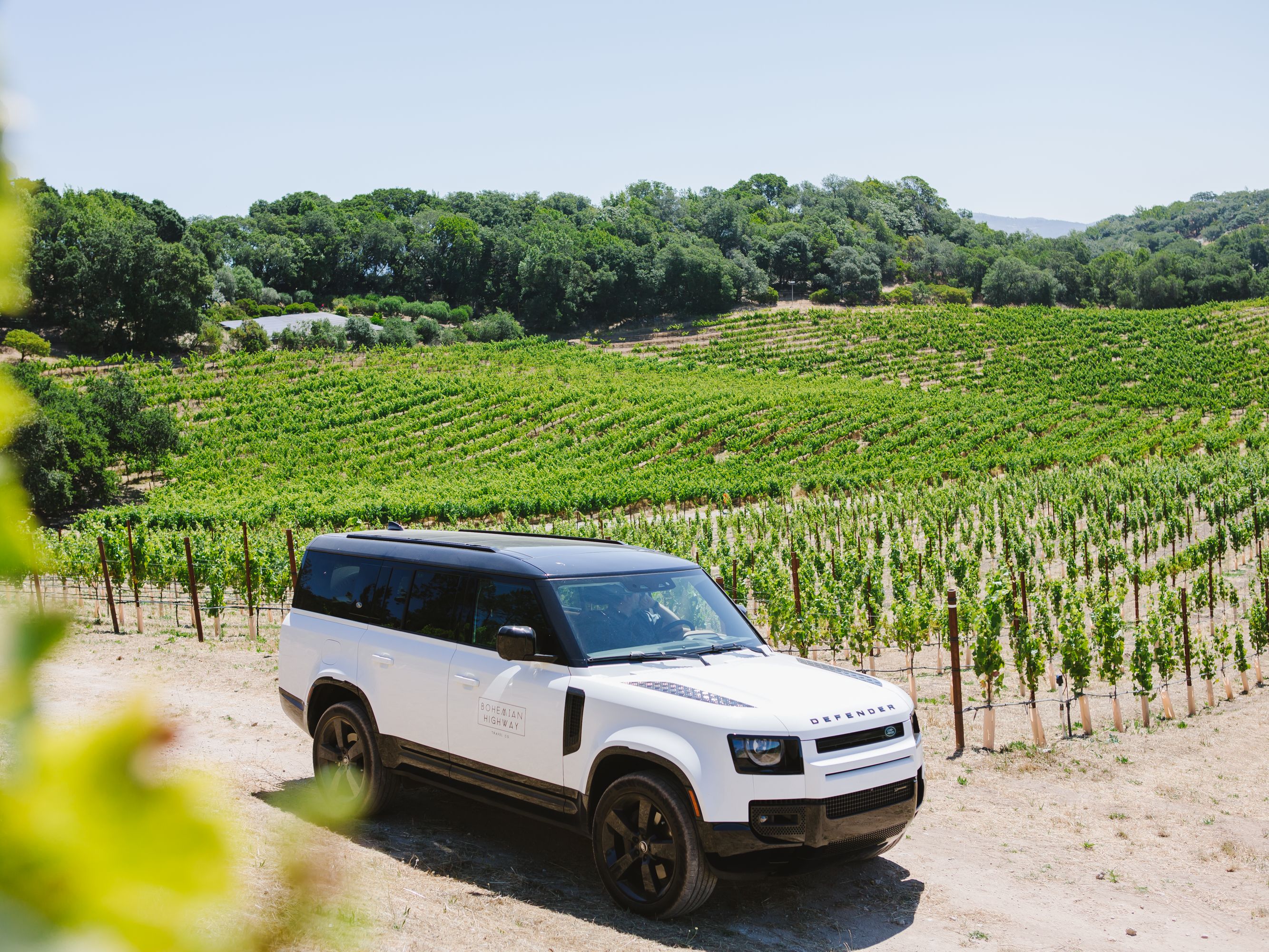 White range rover parked among the grape vines.