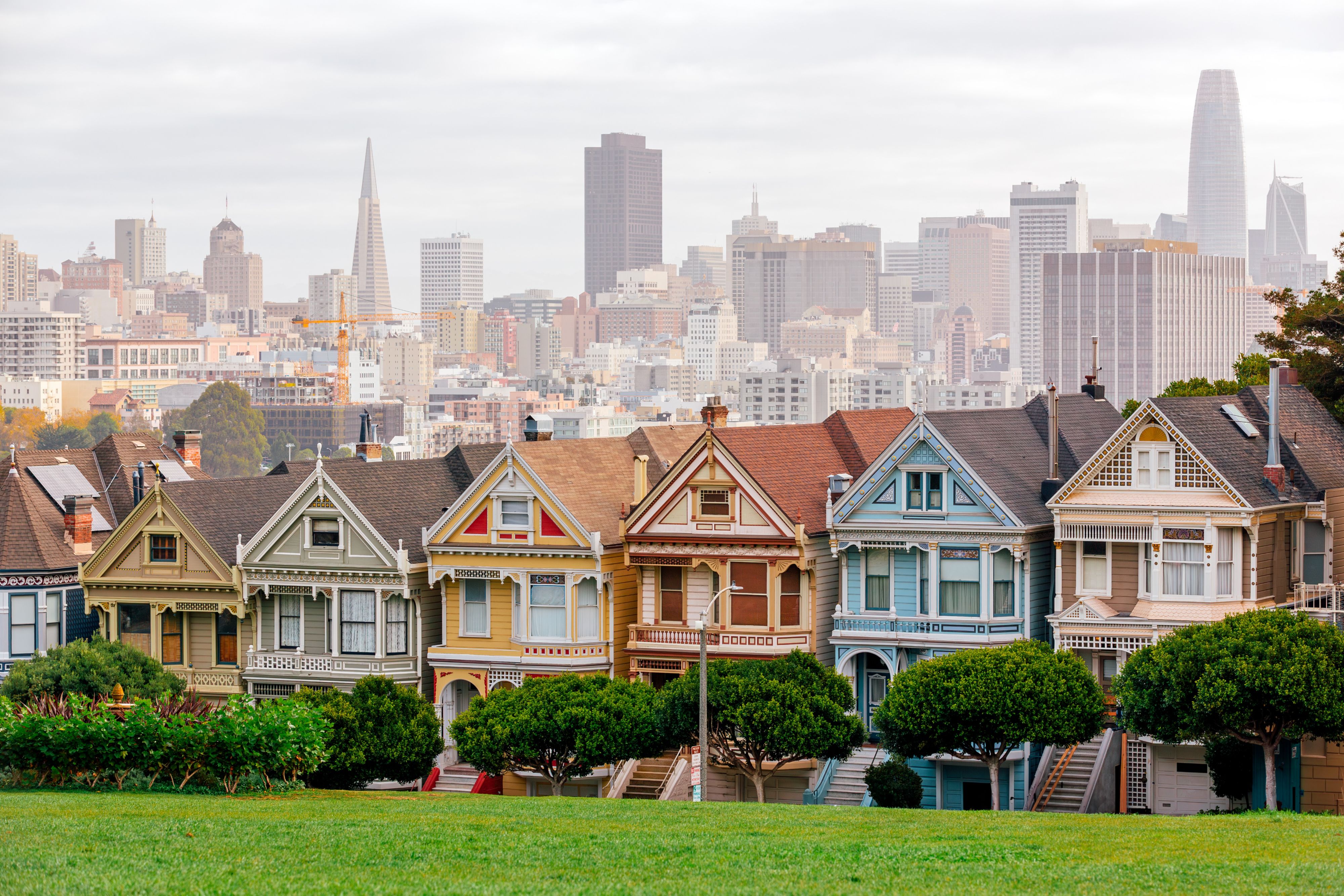 Famous Painted Lady Houses in San Francisco