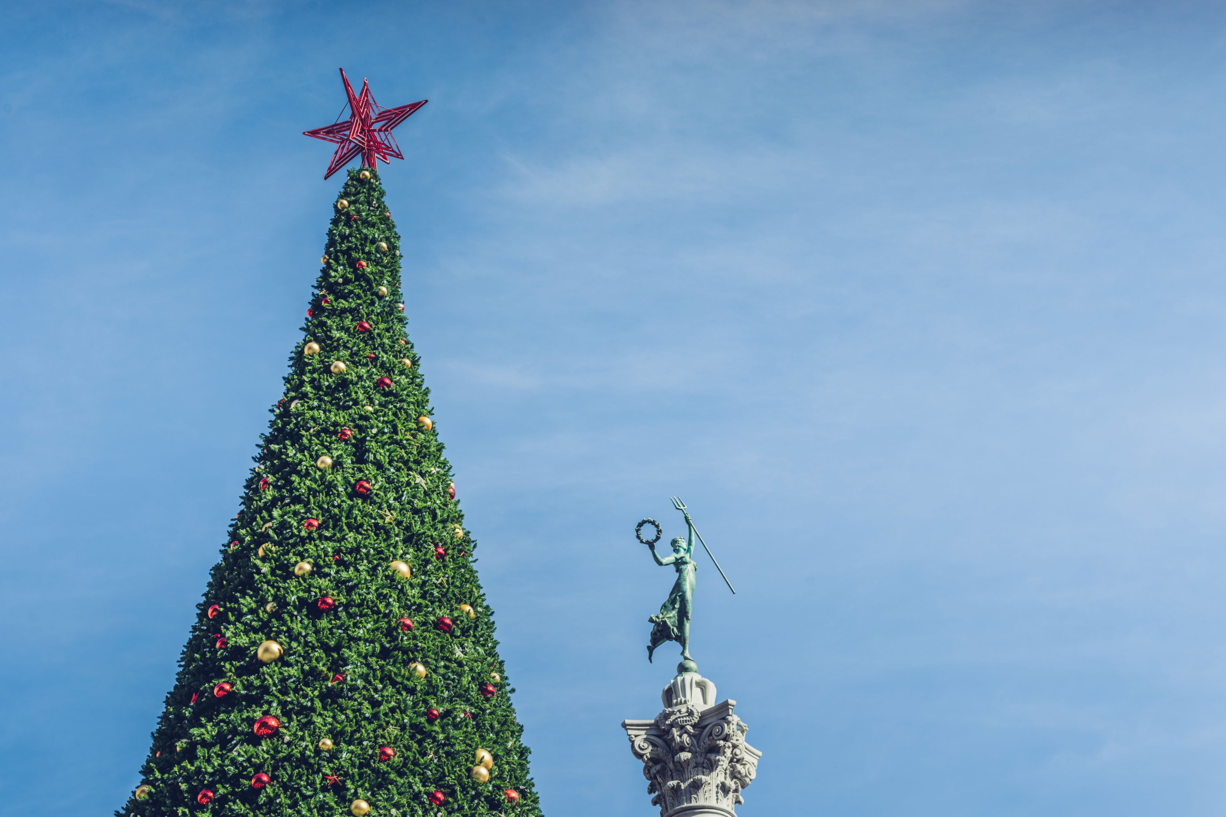 Christmas tree in San Francisco