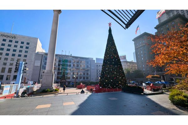Christmas tree in San Francisco