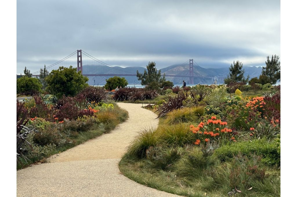 Presidio Tunnel Tops in San Francisco