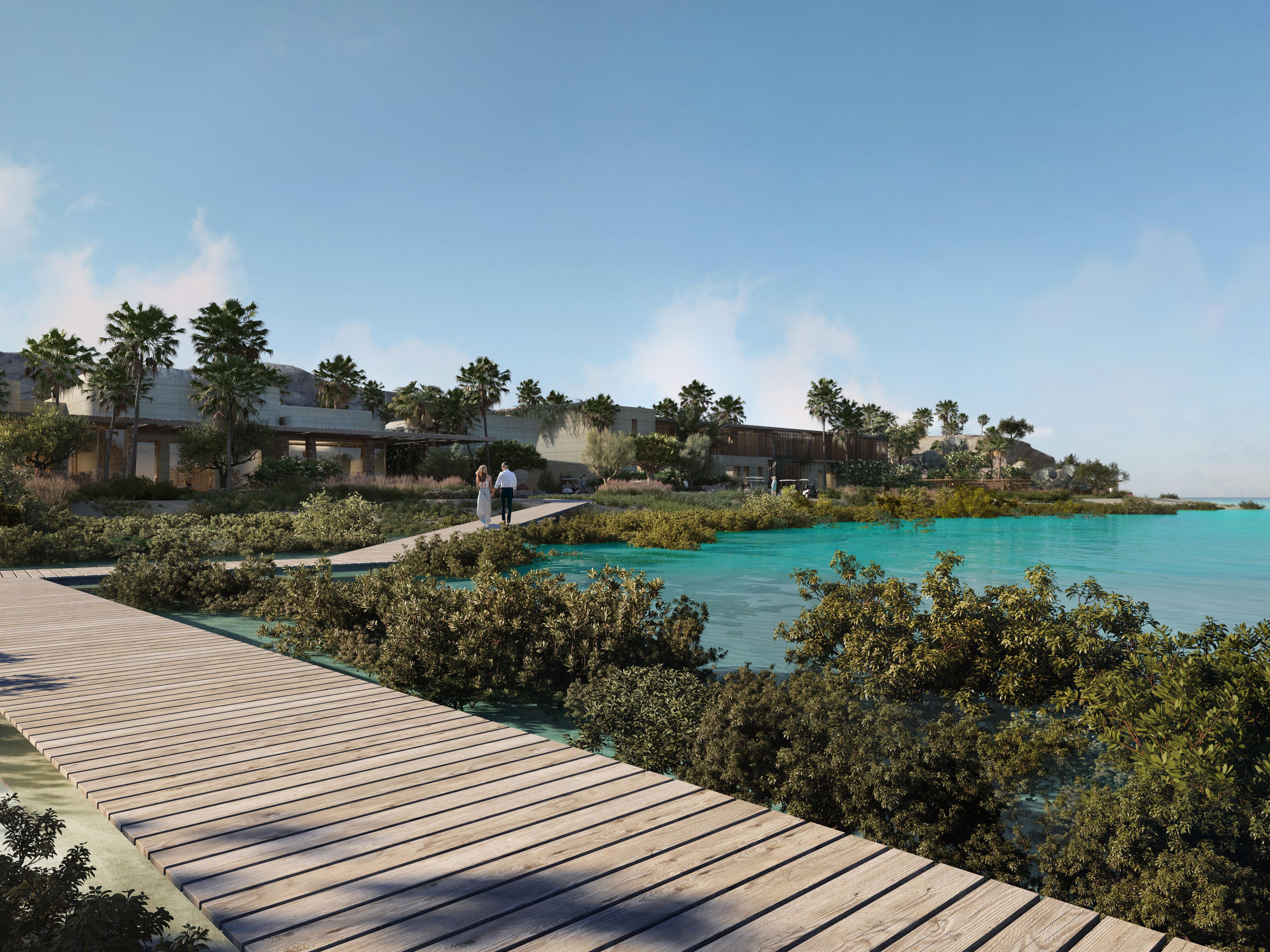 Mangrove Lagoon