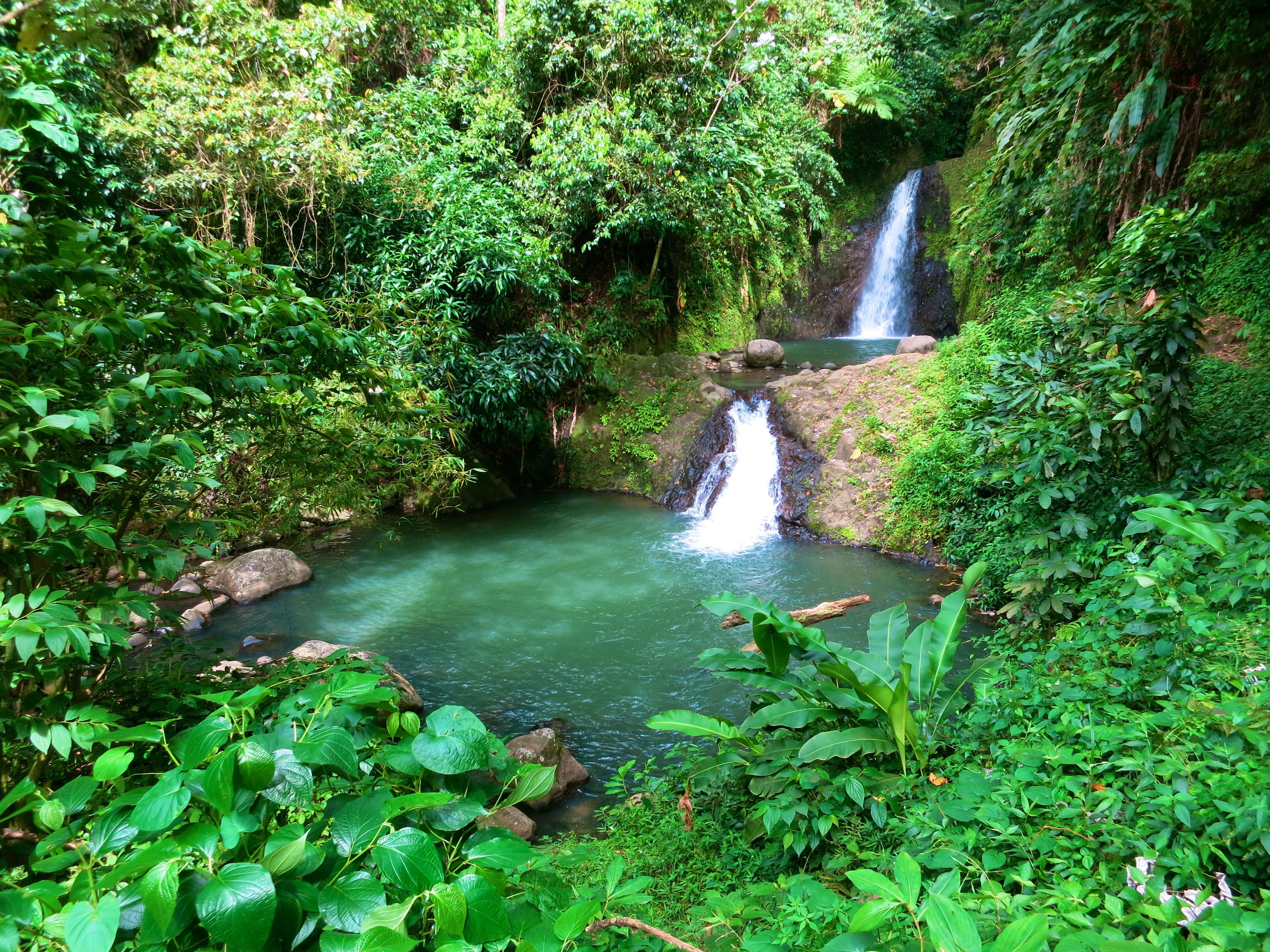 Annandale Waterfalls
