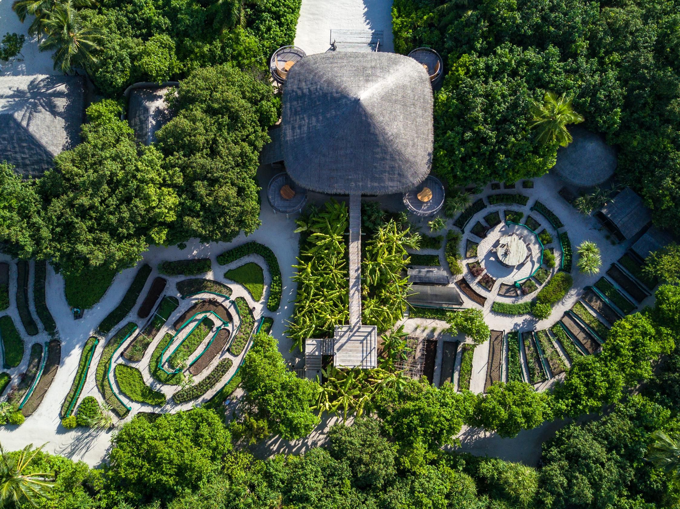 Leaf Garden