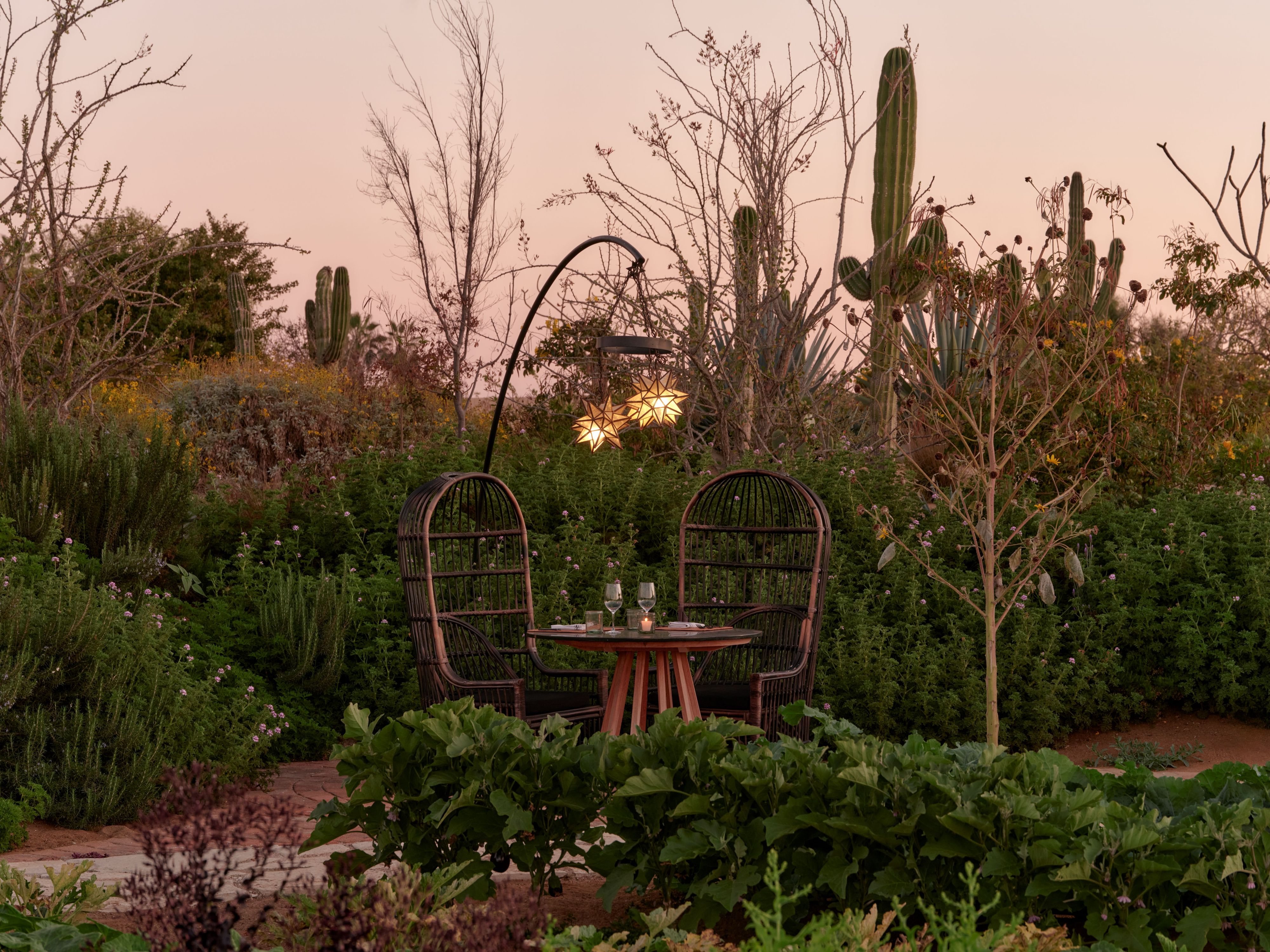 Private outdoor seating amidst the lush greenery at Botanica.