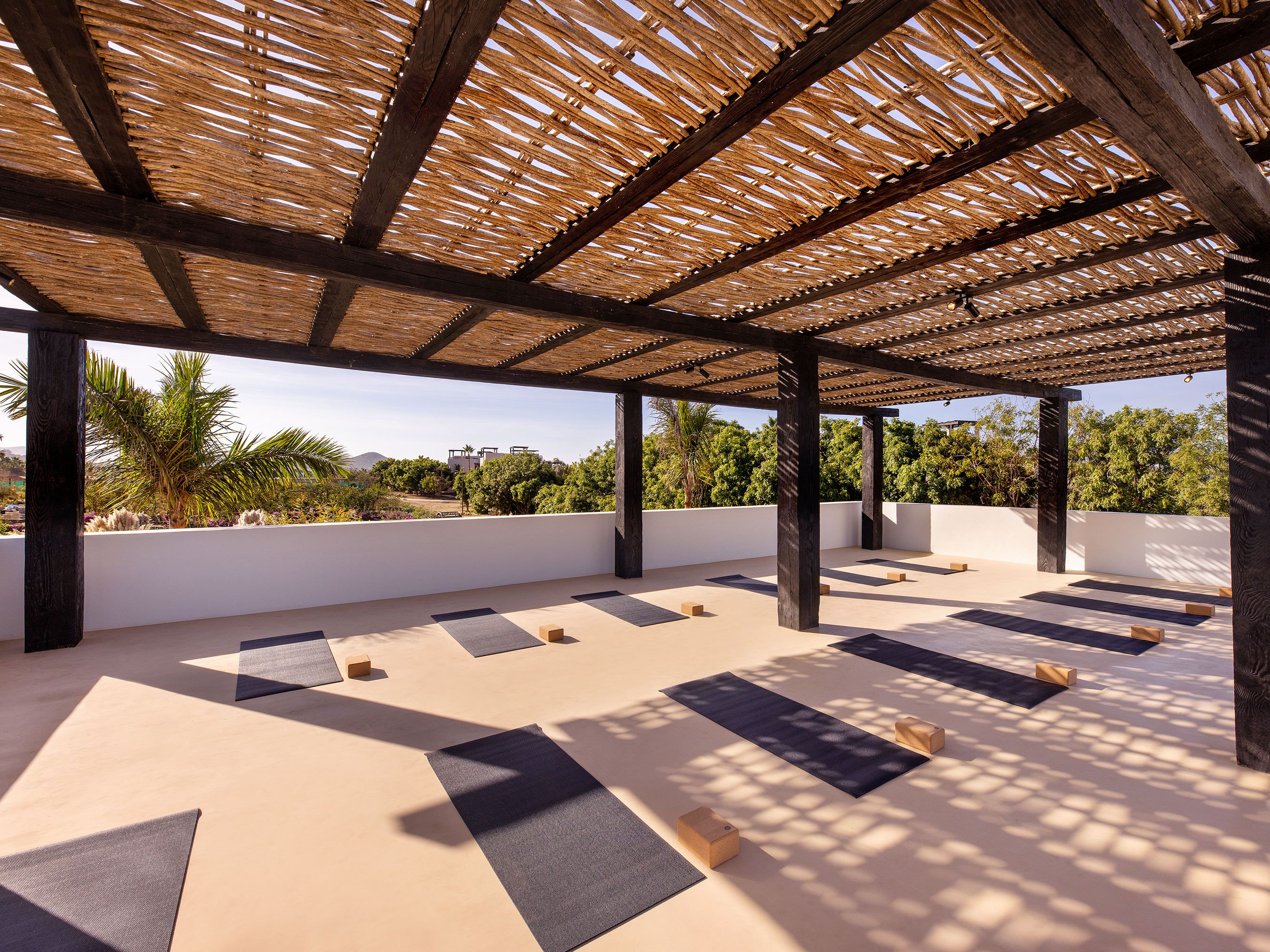 Yoga mats set up in outdoor space.
