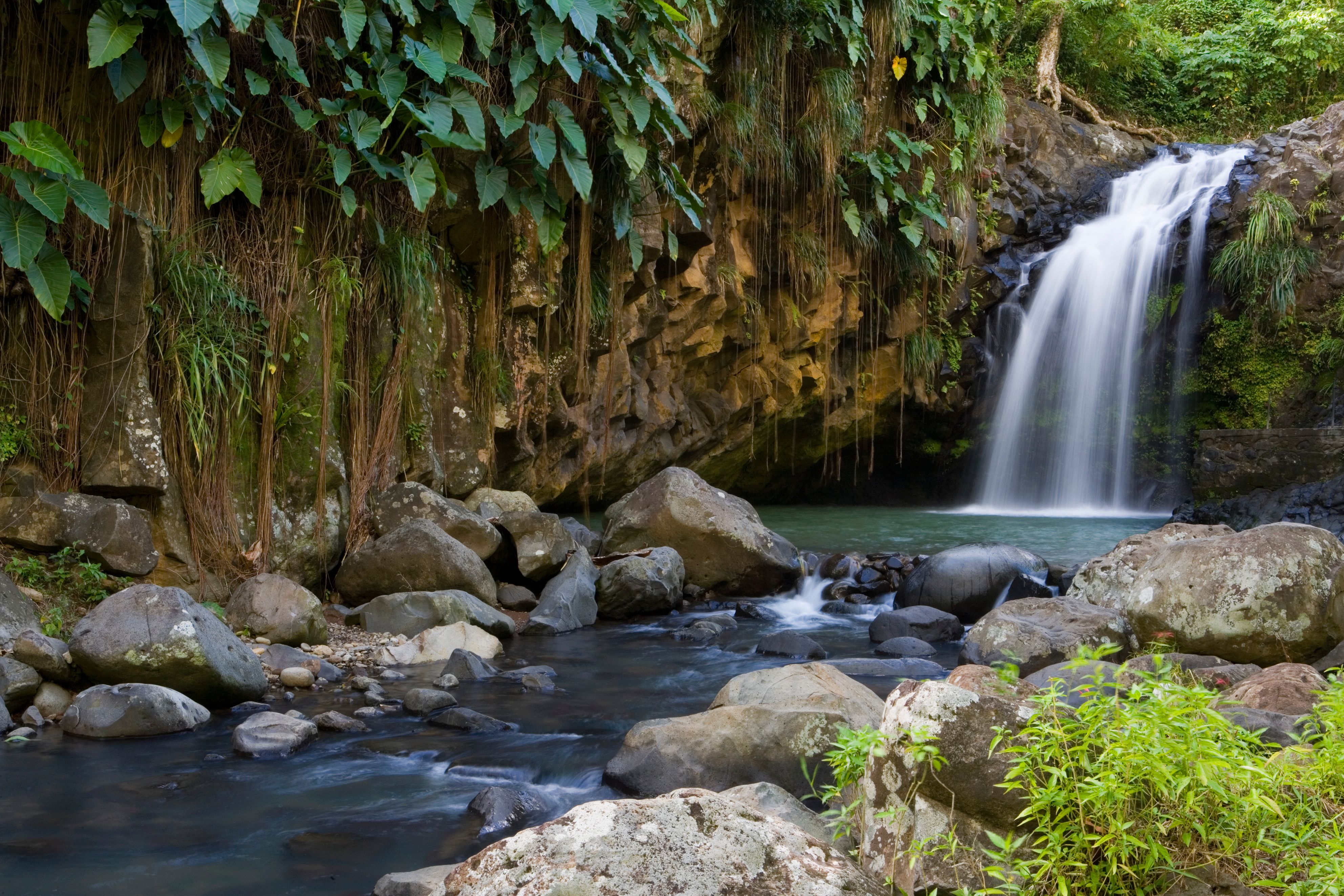 Annandale Falls, Constantine, St George, Grenada, Central America & the Caribbean