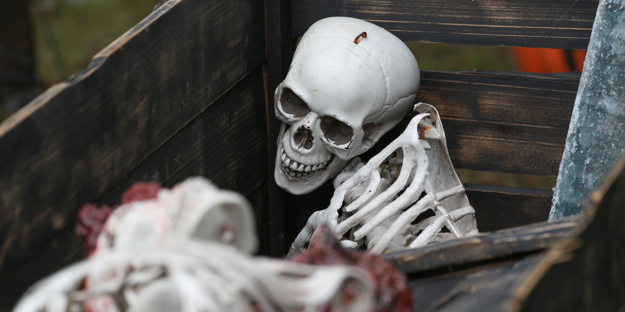 Skeleton in coffin decoration