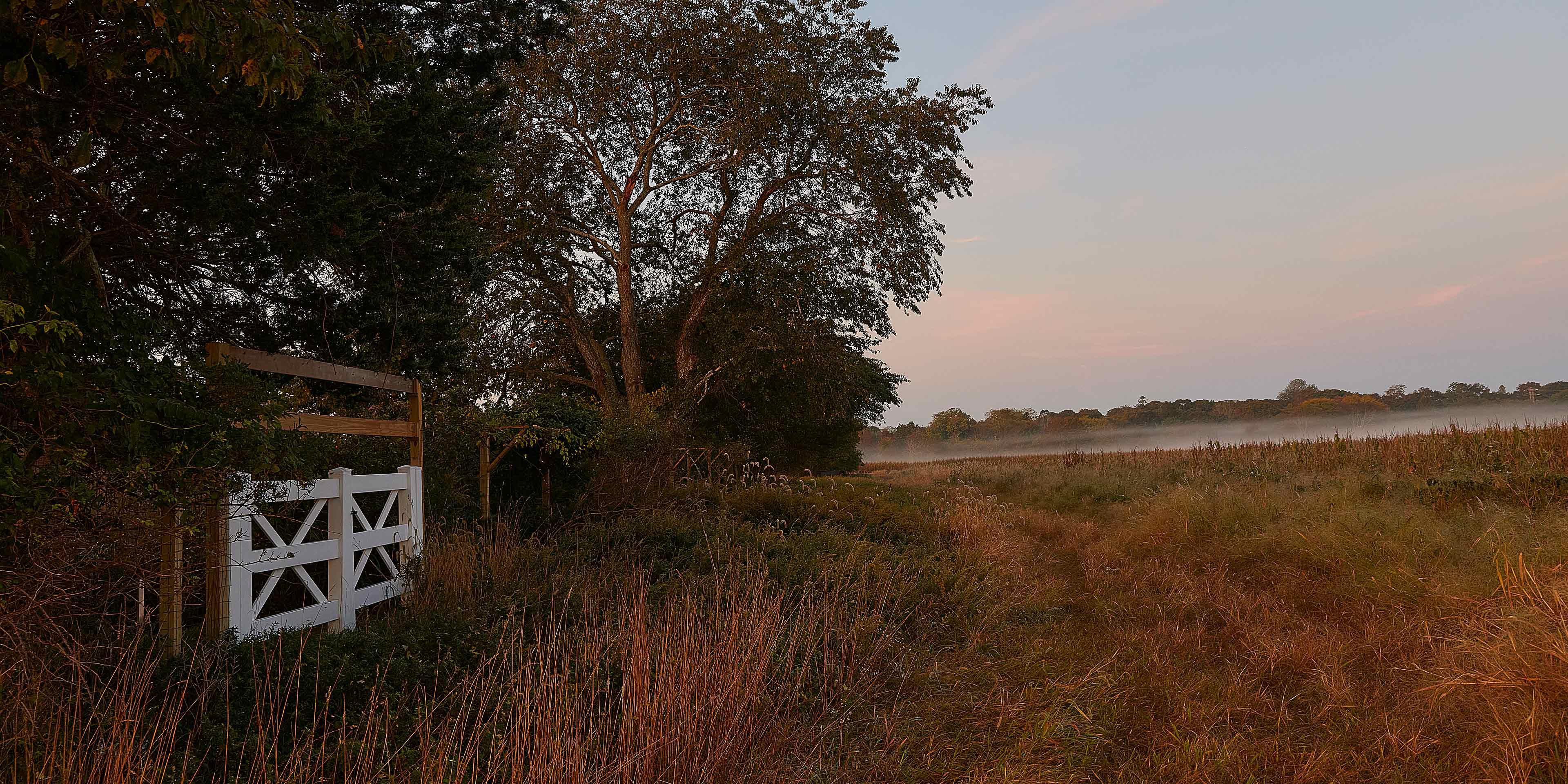 Surrounding nature
