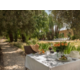 Outdoor dining area