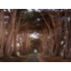 Walkway