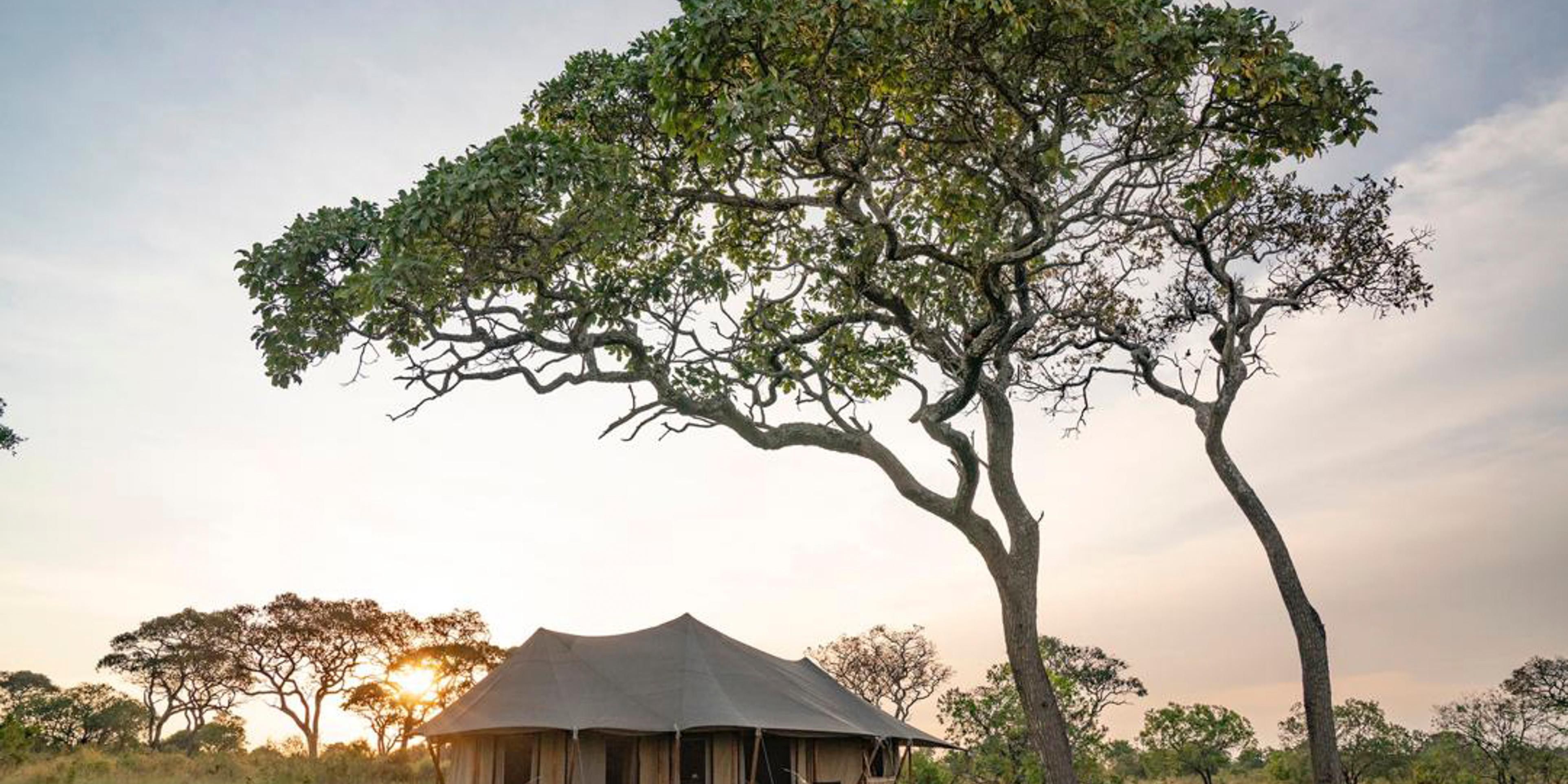 Legendary Serengeti Camp - Luxury seasonal Mobile Safari tented camp