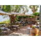 Terrace dining