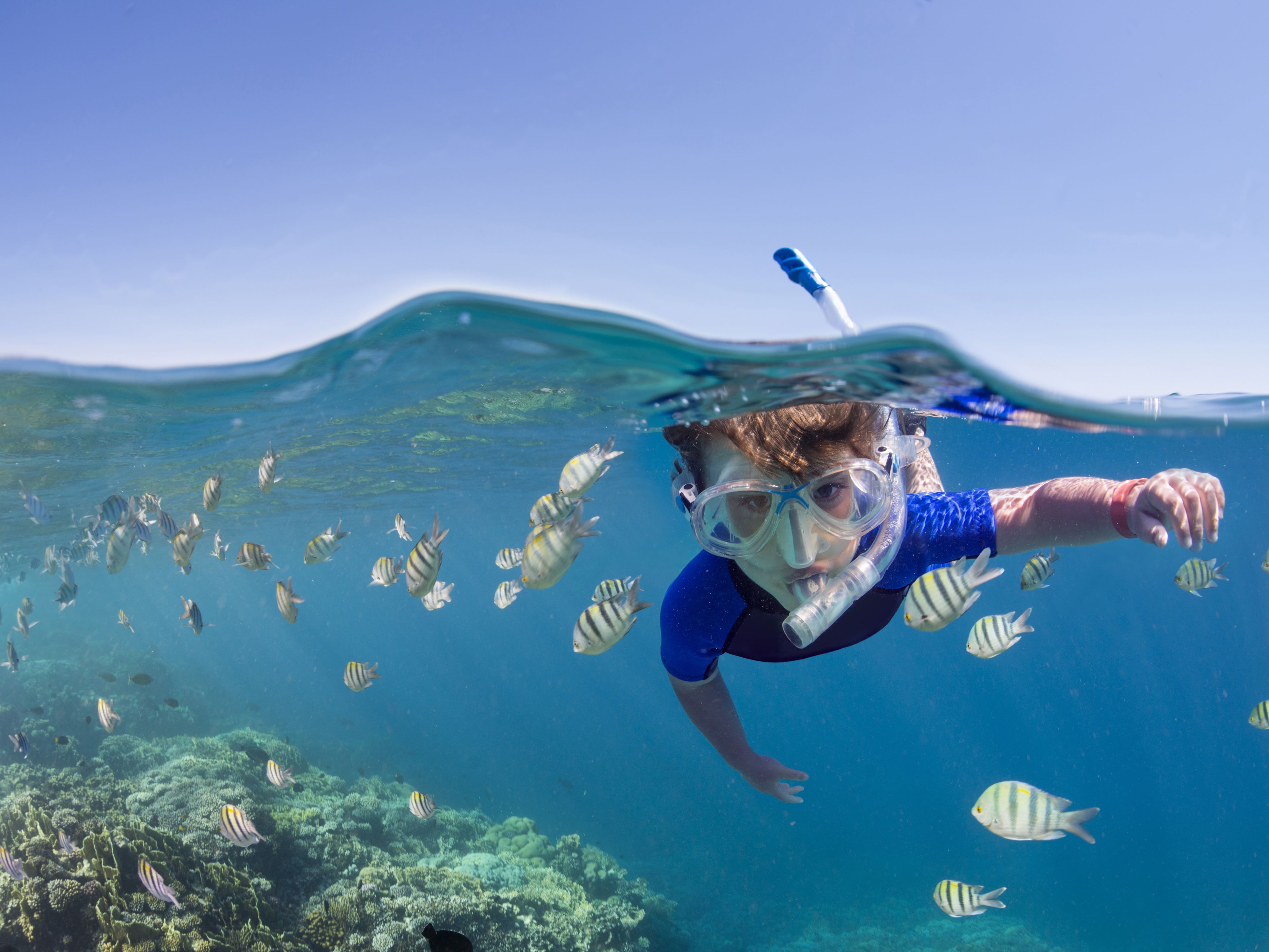 Snorkling in paradise
