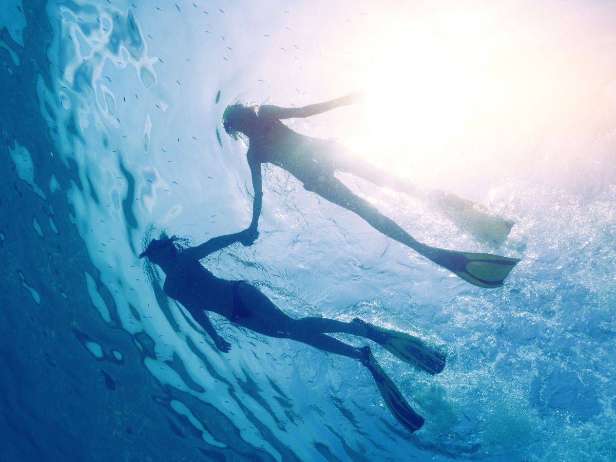 Discover Fujairah's Vibrant Underwater Marine World