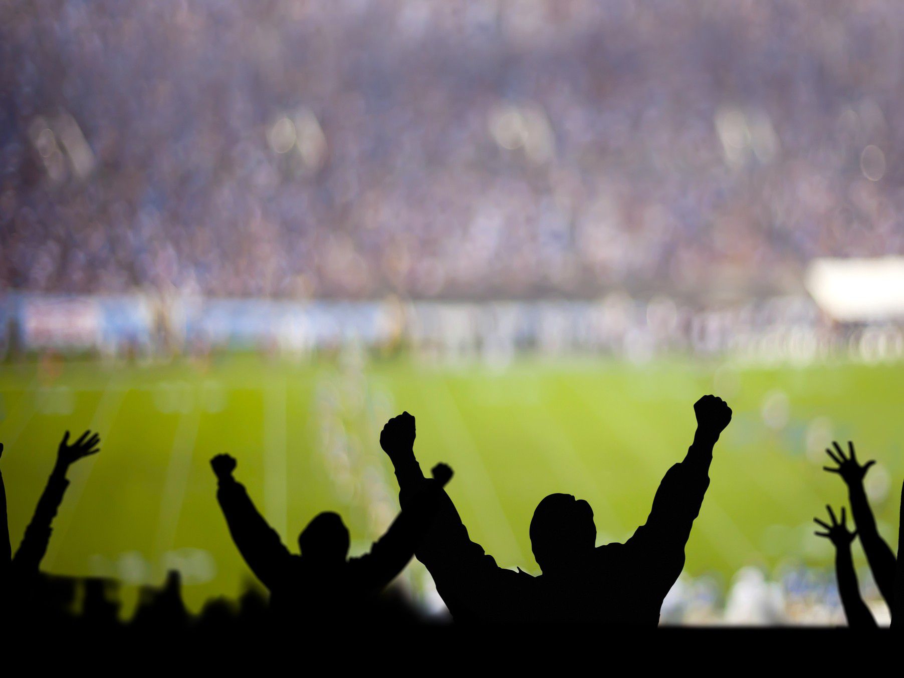 Fans cheering at a soccer field stadium