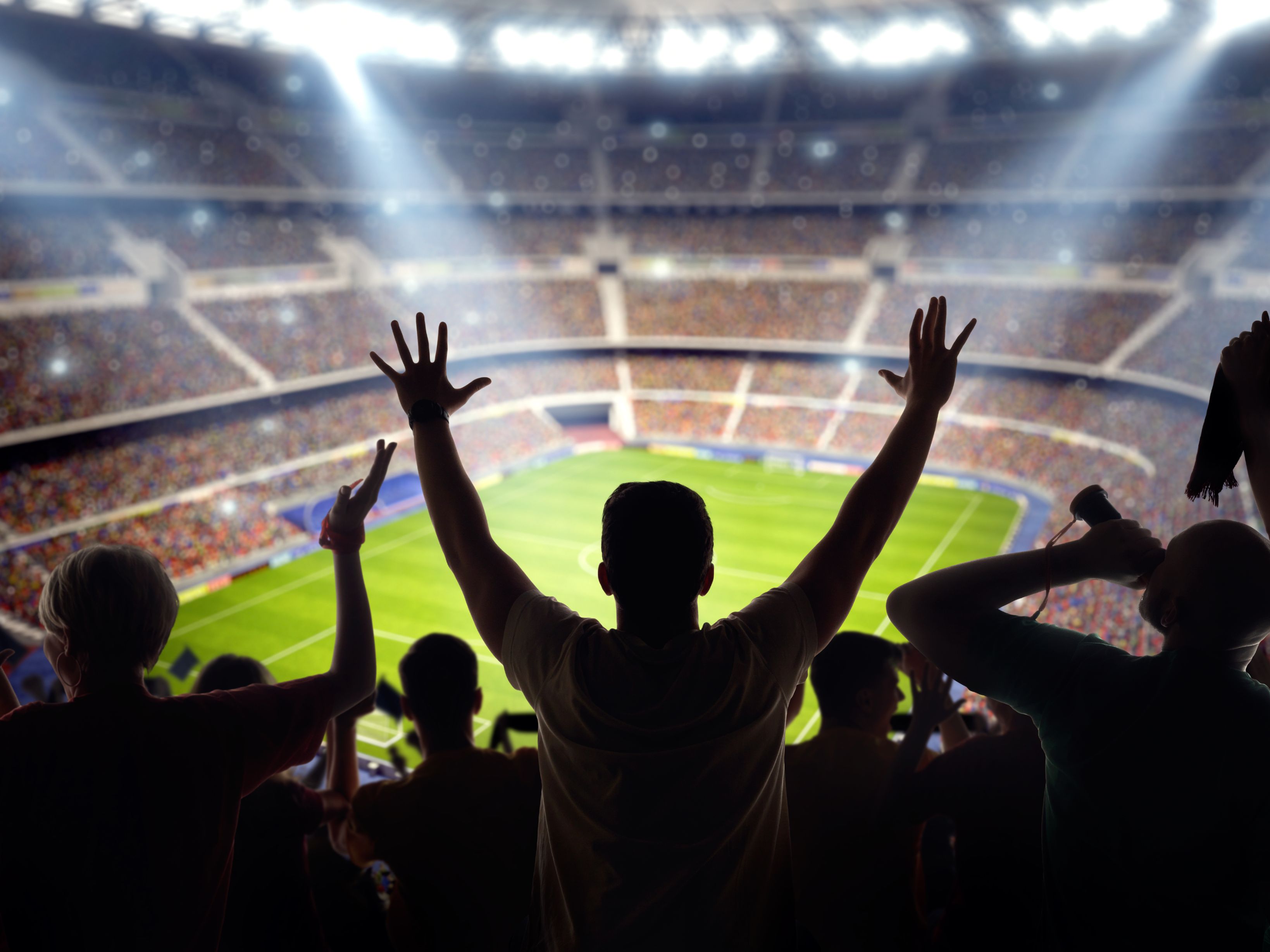 Soccer fans at stadium