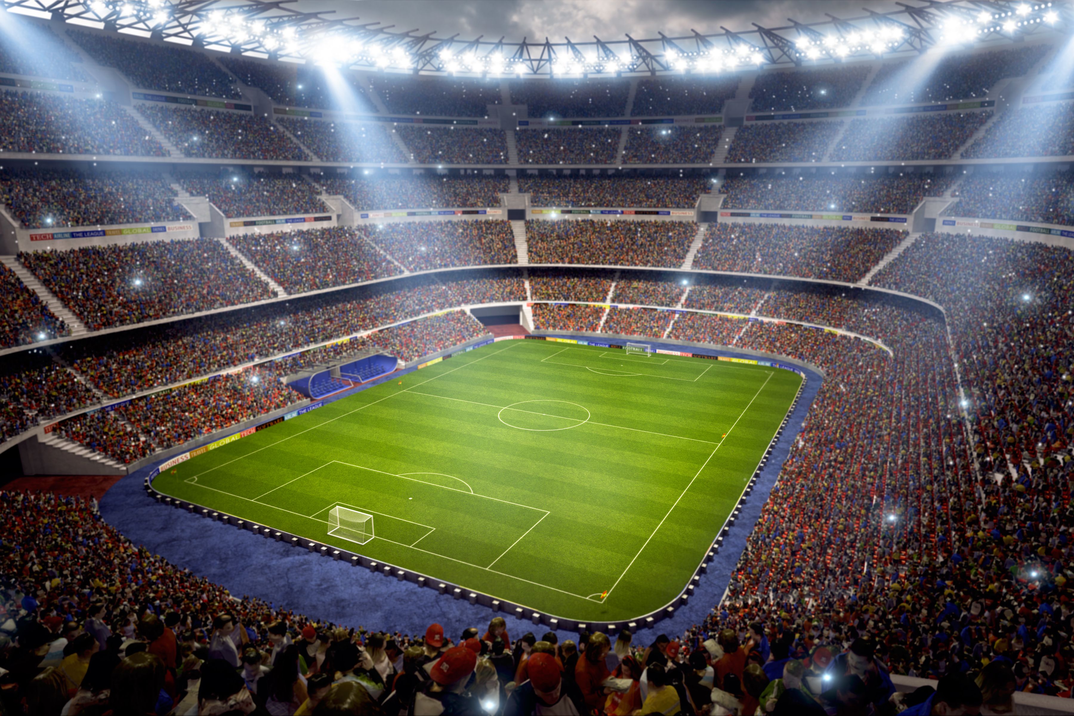 Fans at a soccer game