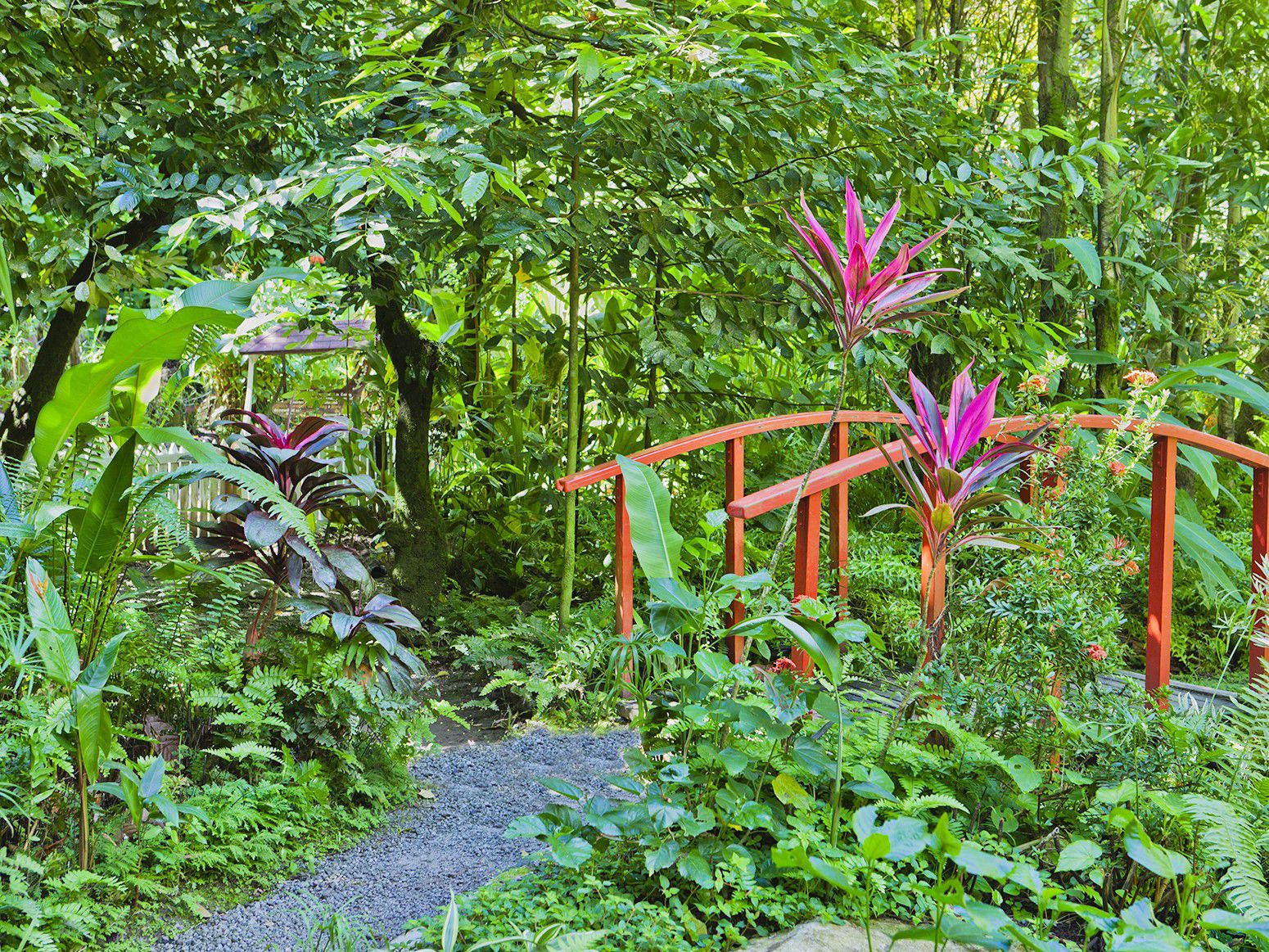 St Lucia Botanical Gardens bridge