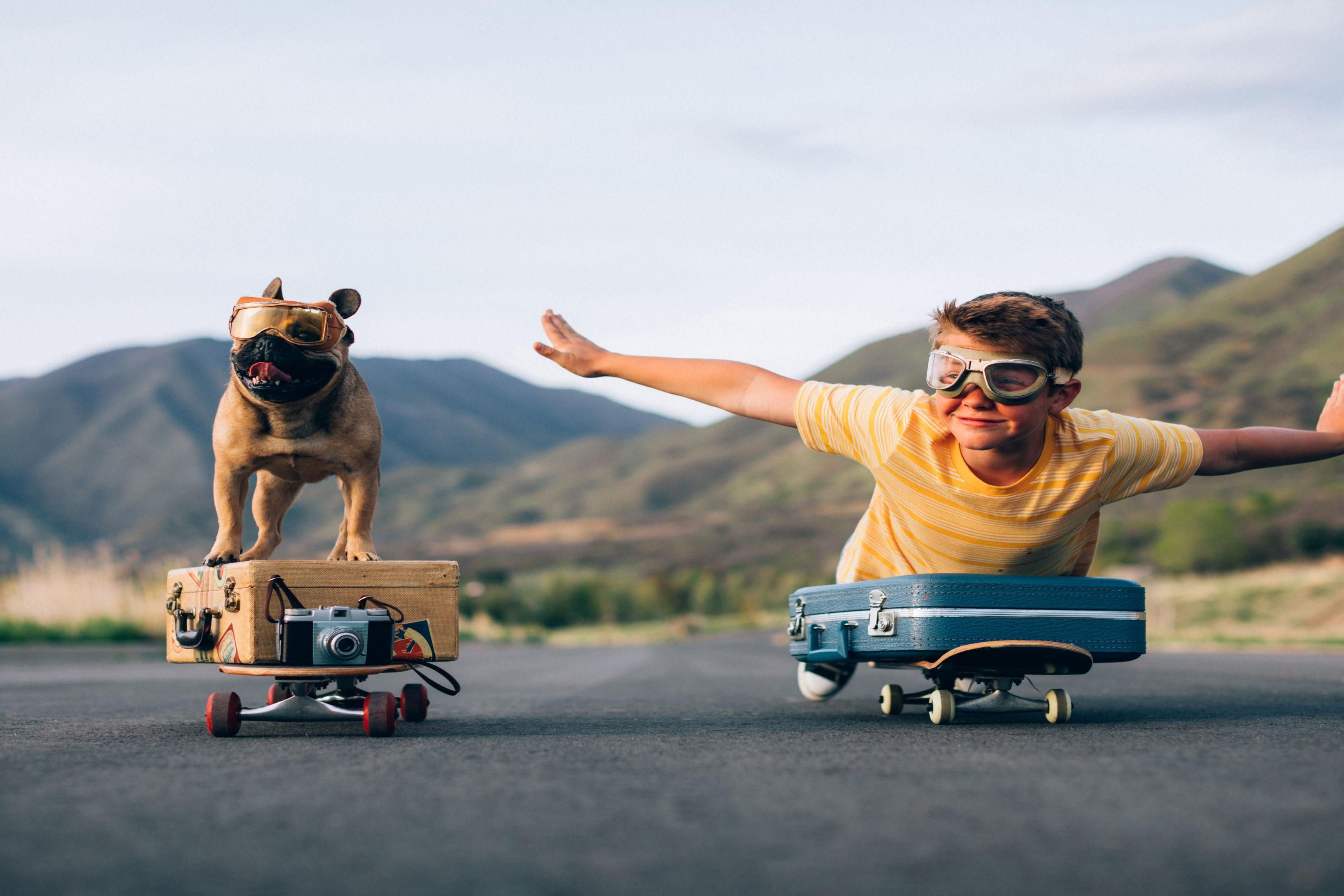 No need to leave your furry friends at home. Our Staybridge Suites is pet friendly. Our Pet fee under 50lbs allowed no more than 2 pets non refundable fee of $25 per day per pet 1 to 6 nights and $150 for 7 plus night. Your pet will receive a Welcome doggie treat bag. Pet walking area on property with doggie "doodie" bags and trash receptacle.