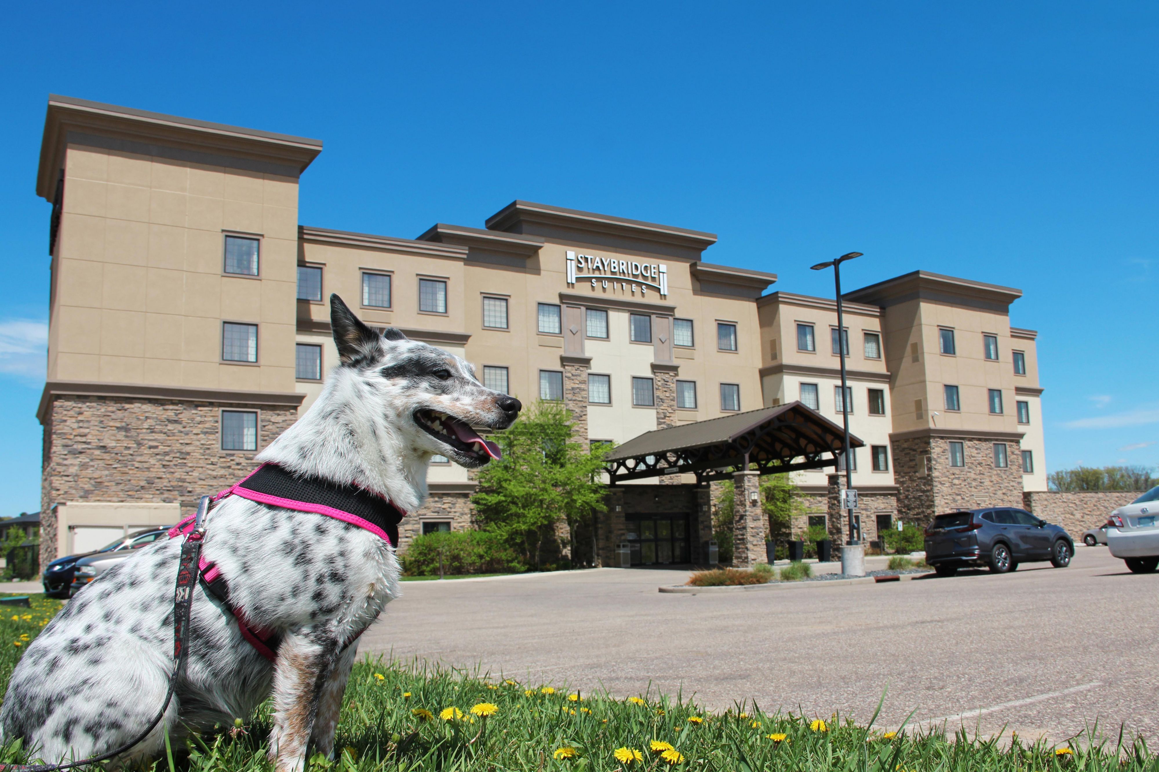 We love your furry friends just as you do and welcome them to join you in your stay with us. We charge a $25 a night non-refundable fee not to exceed $150 throughout your stay. Lots of walking trails to get their exercise during your stay. We look forward to warmly welcoming your pet to enjoy their stay.
