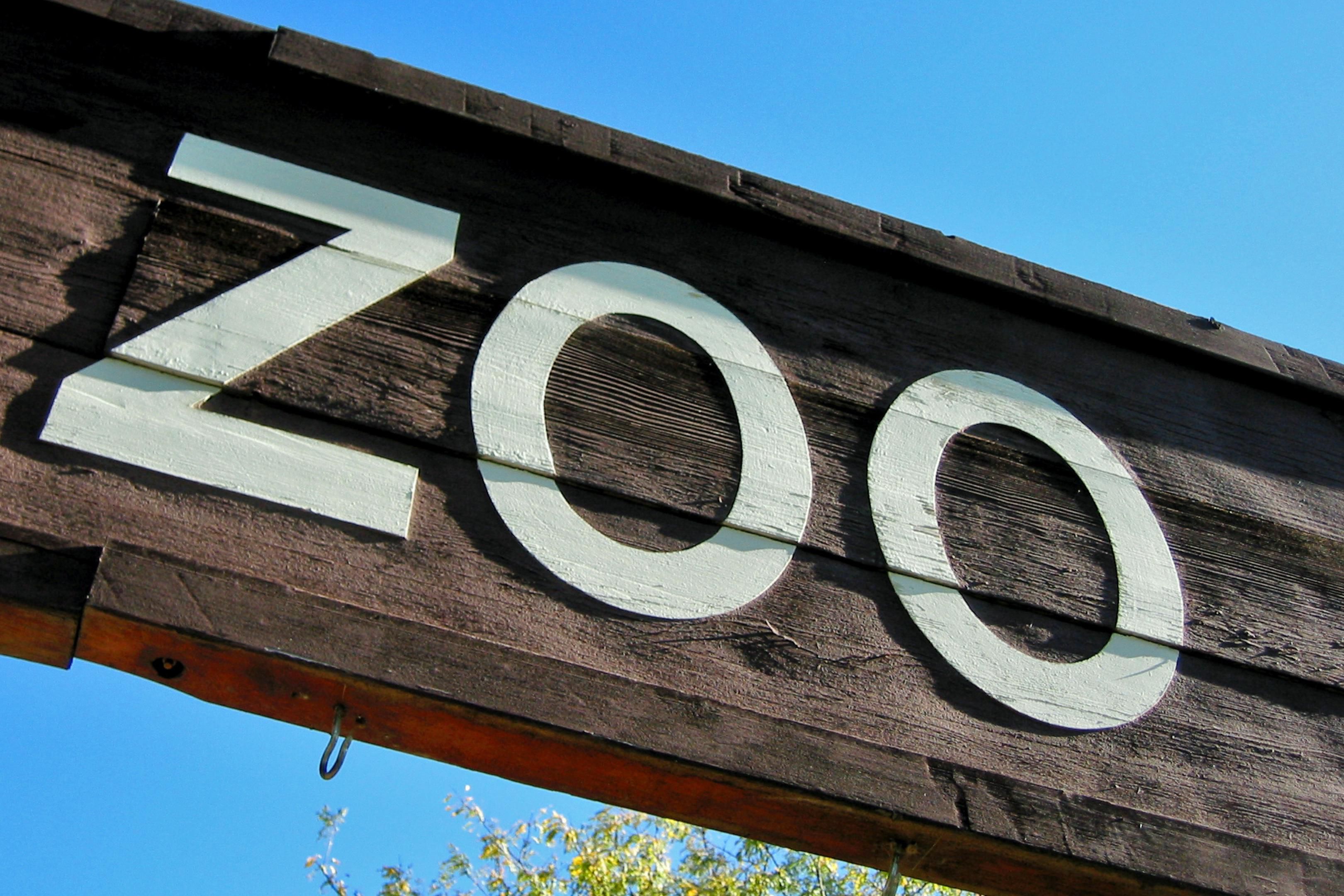 Come and see one of the oldest zoos in the world, the Antwerp Zoo!