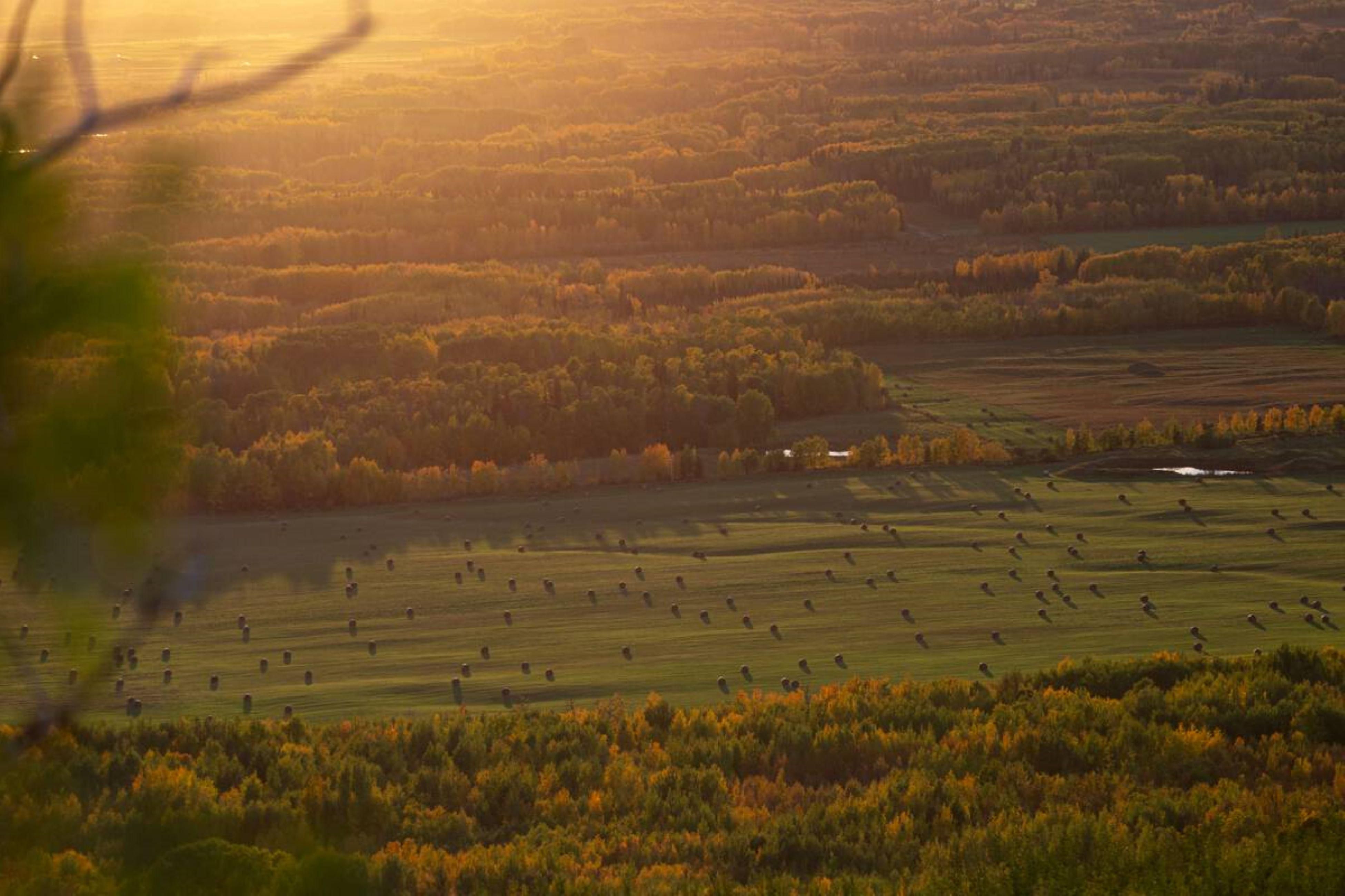 Sunset over the fields in Dawson Creek