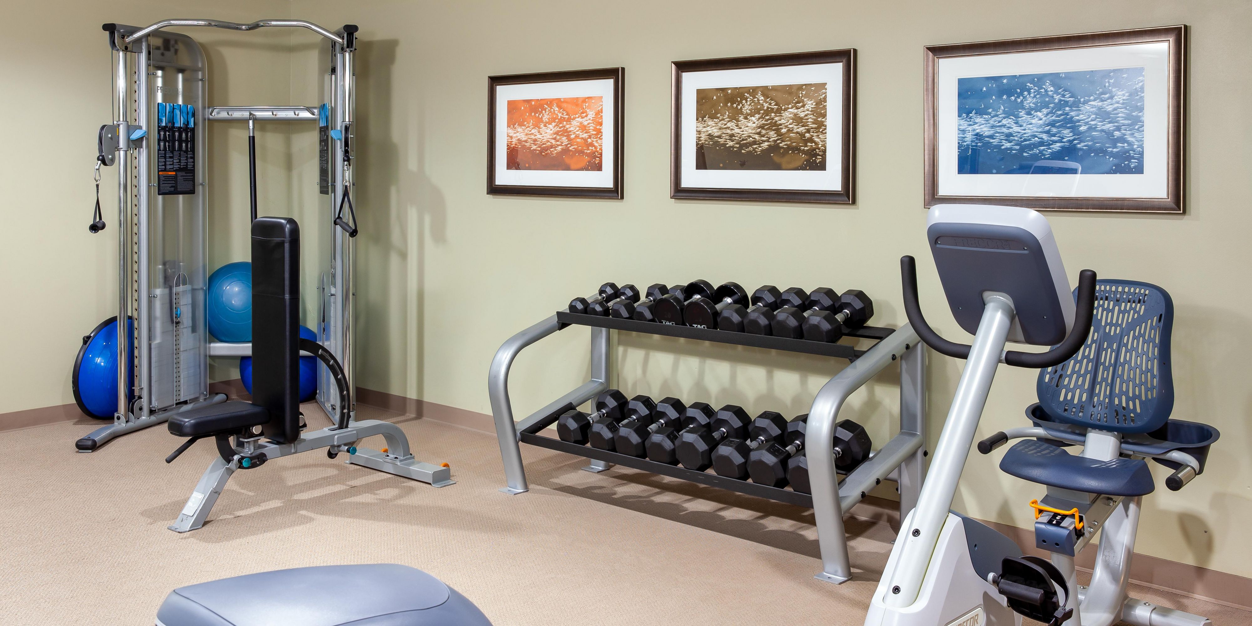 24hr fitness center with premium equipment.