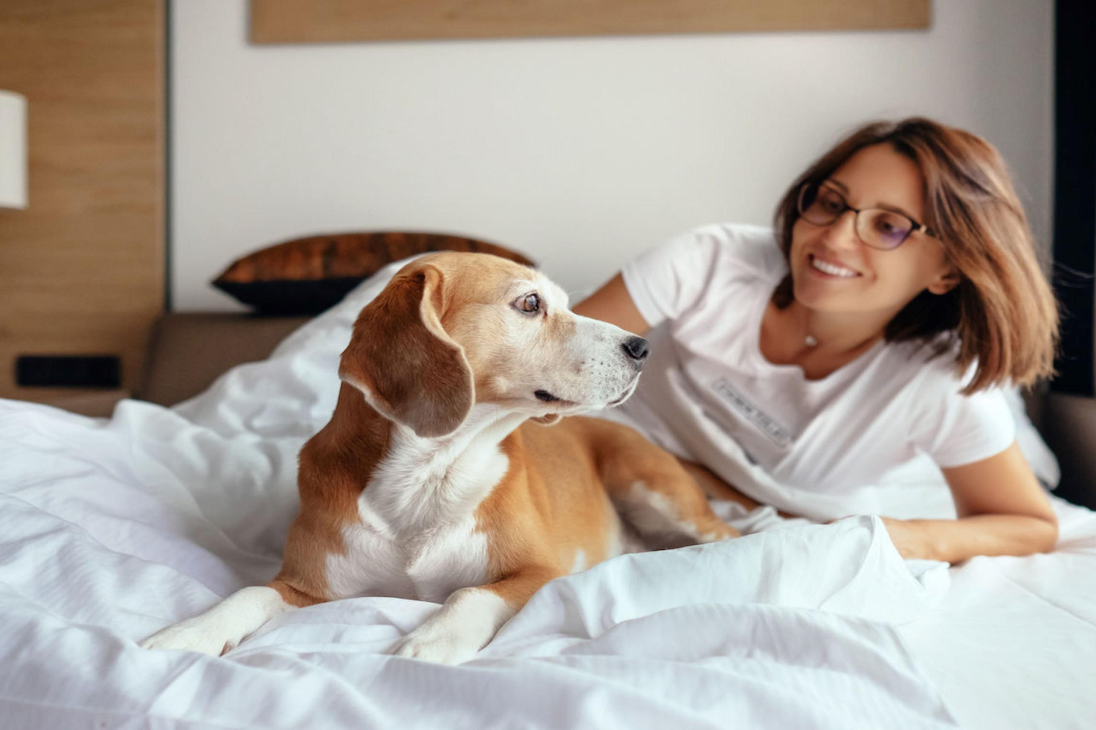 We know your pet is part of the family, especially when you are on the road. That is why we are not just pet friendly but we are pet preferred. Click on our Pet Policy for more information.