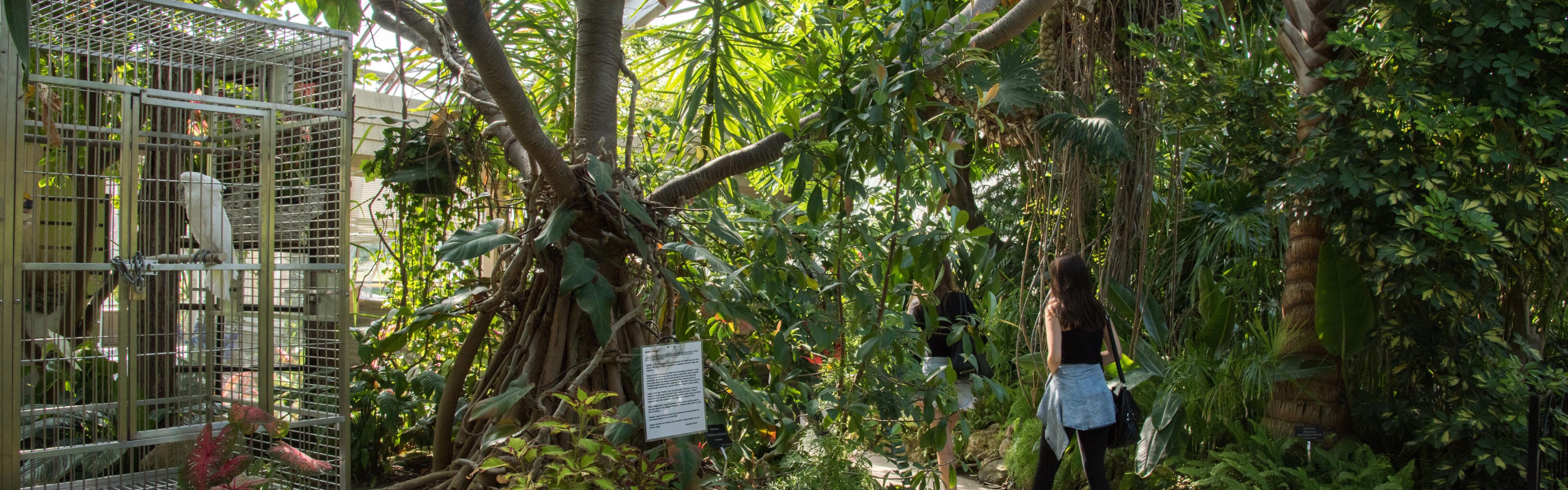 目的地