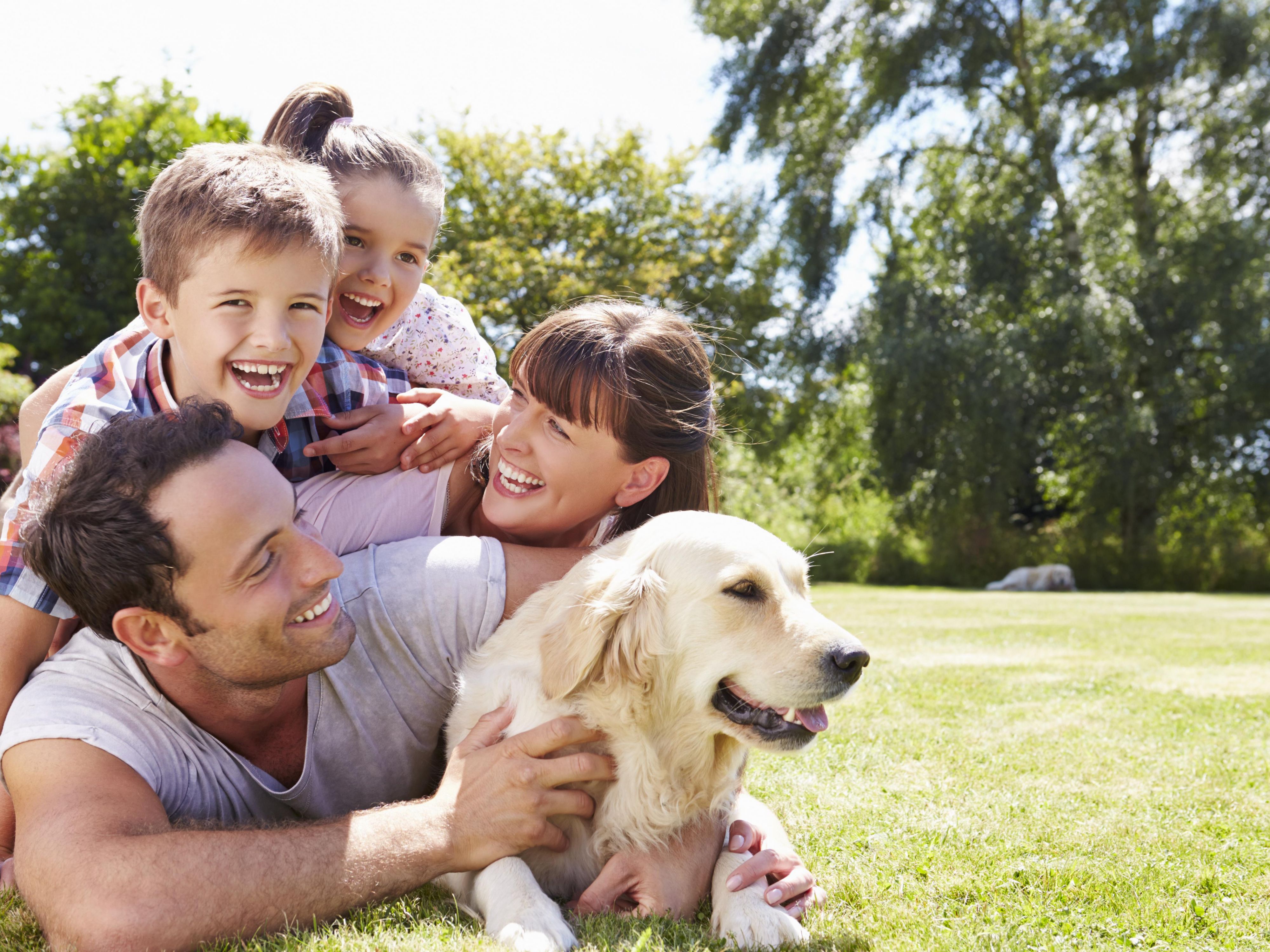 We are happy family. Собаки для семьи с детьми. Счастливая семья с собакой. Семья со счастливым ребёнком. Счастливой семье и домашние животные.