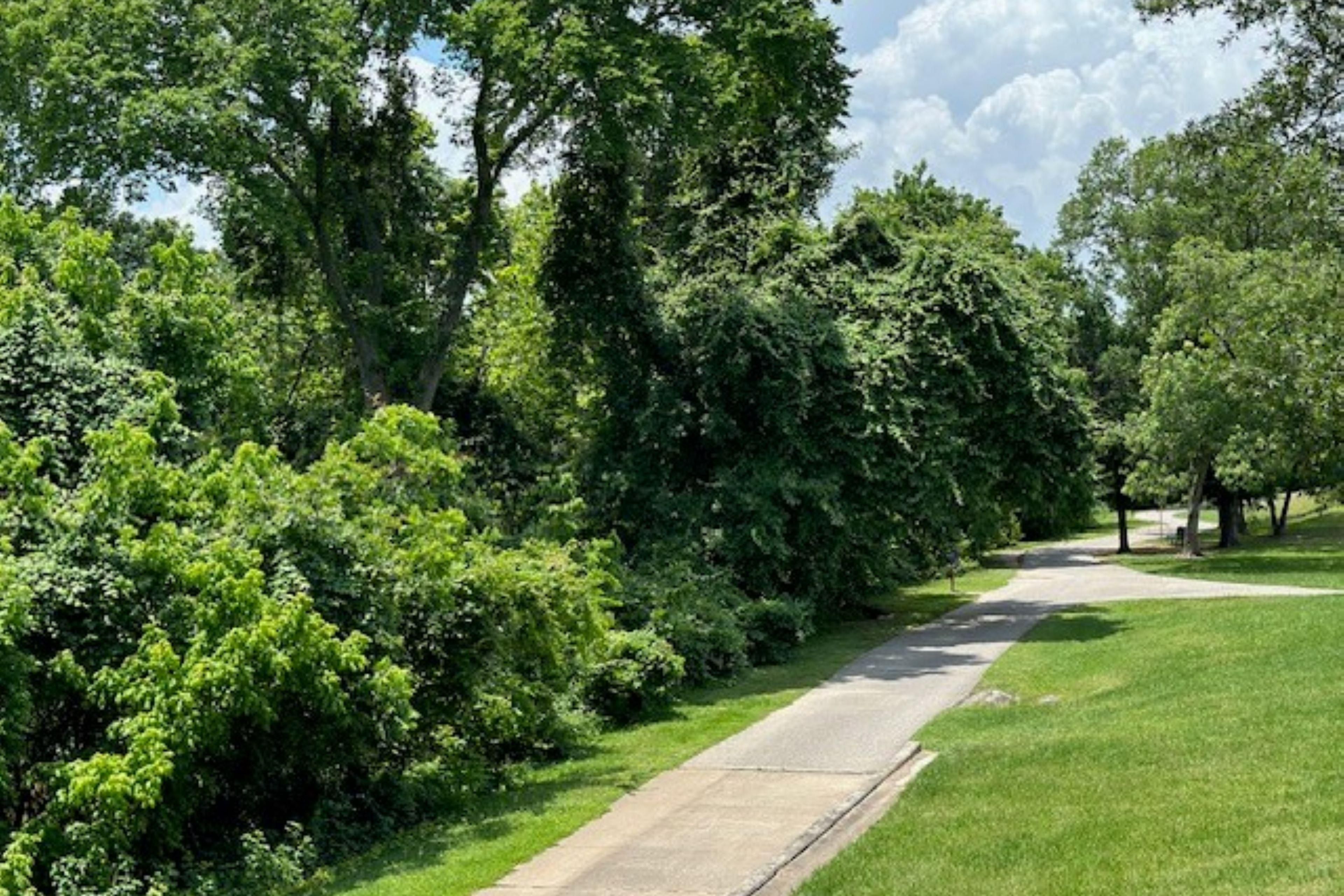 Beautiful walking trails close by 
