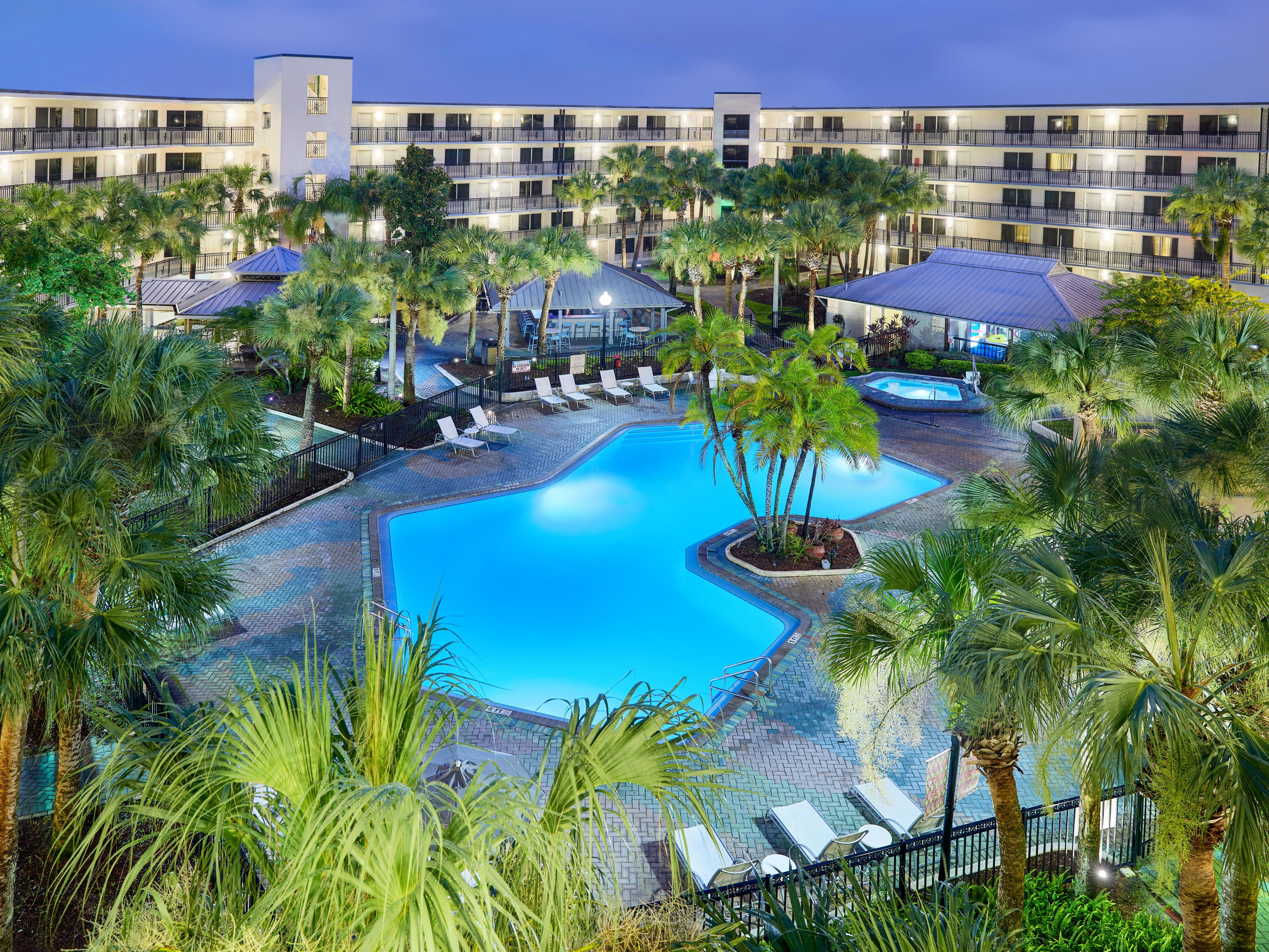 Outdoor pool surrounded by palm trees