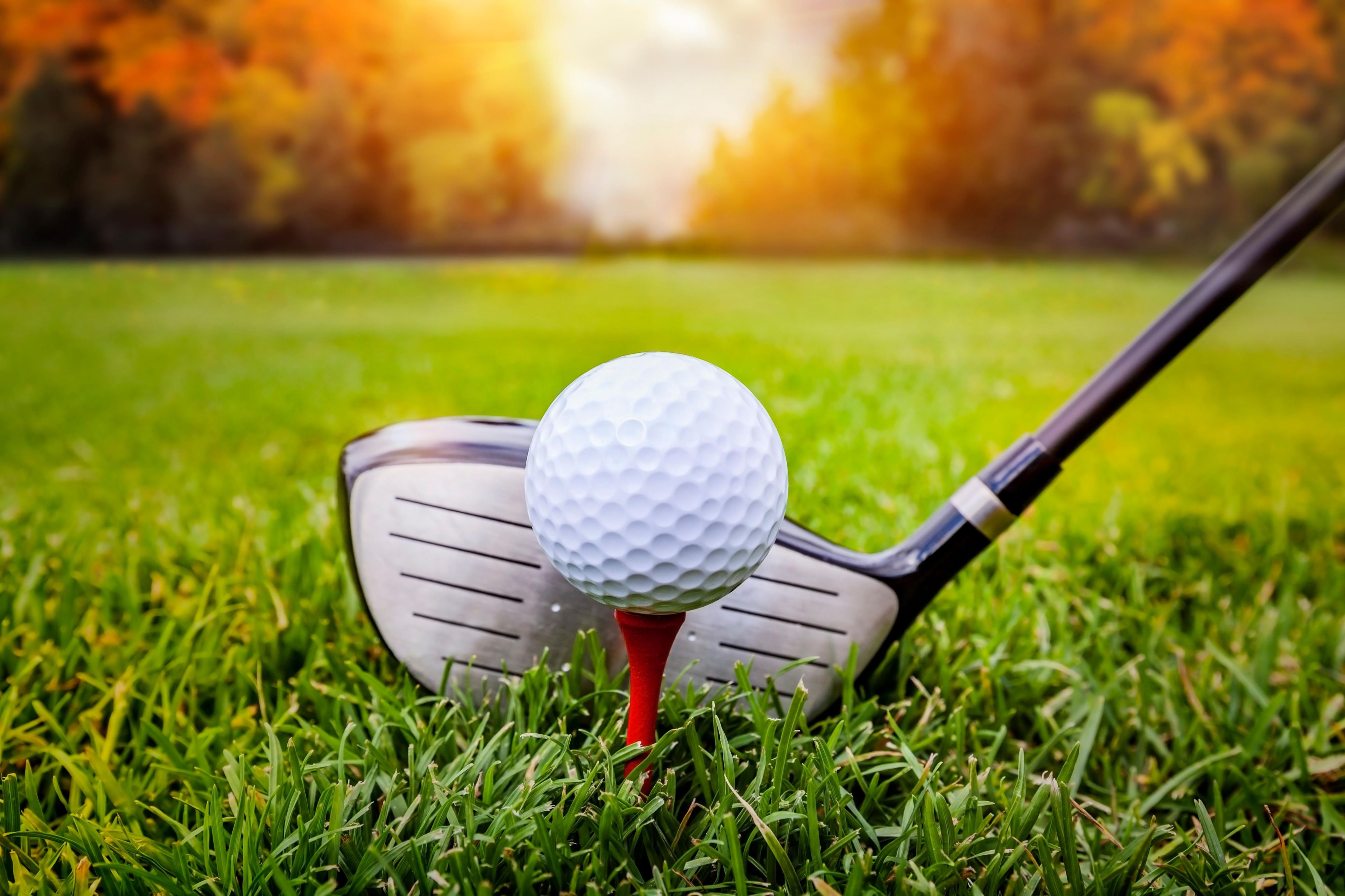 Perfect your swing with our exclusive golf package! Book your stay at our Lewes hotel and enjoy a $5 discount on greens fees or free golf club rental at American Classic Golf Club, just a 5-minute walk away. Plus, enjoy a complimentary suite upgrade (subject to availability) and late checkout. It’s a great way to mix business with leisure. 