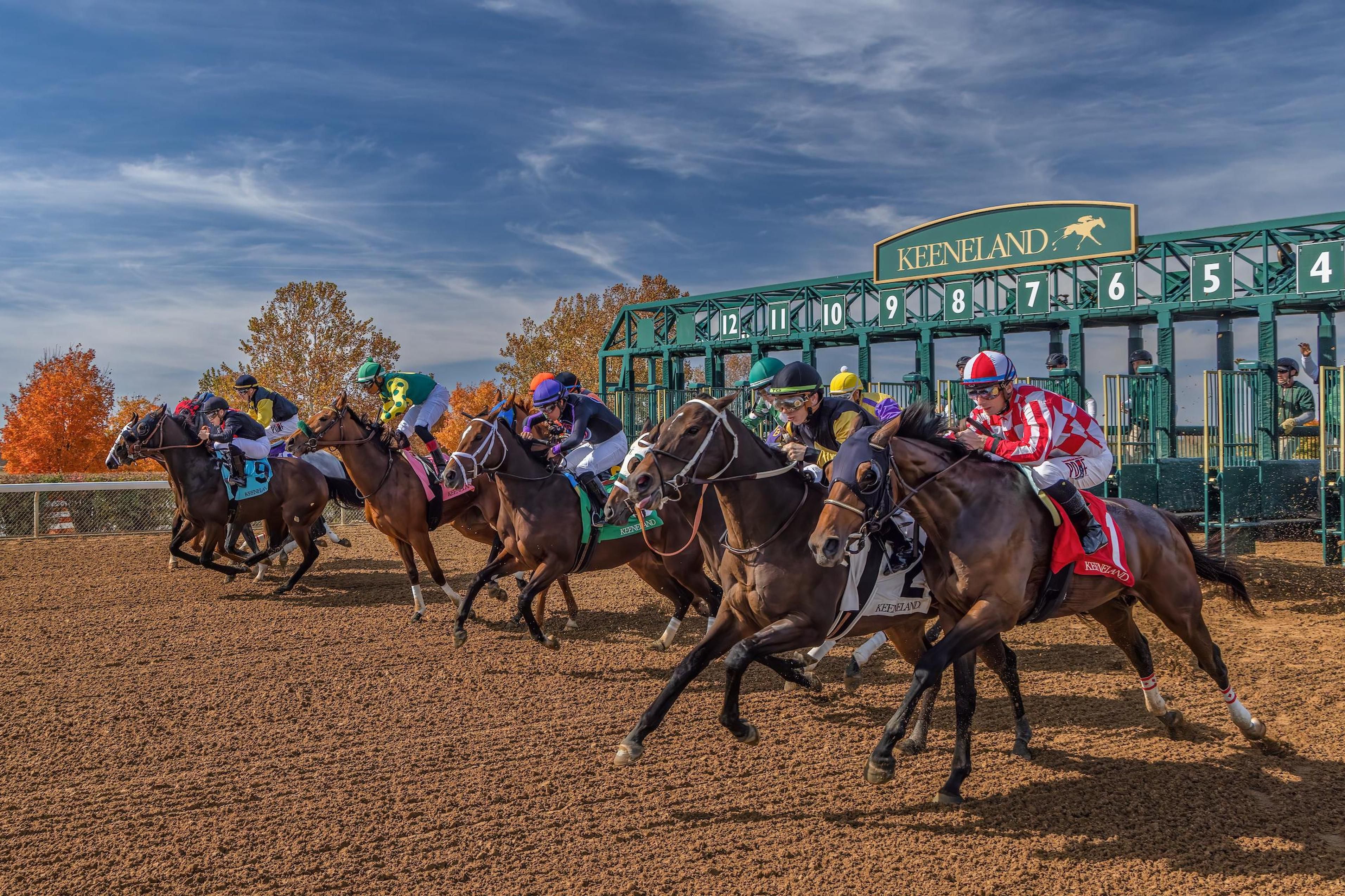 Keeneland Race Track located 8 miles from our hotel.