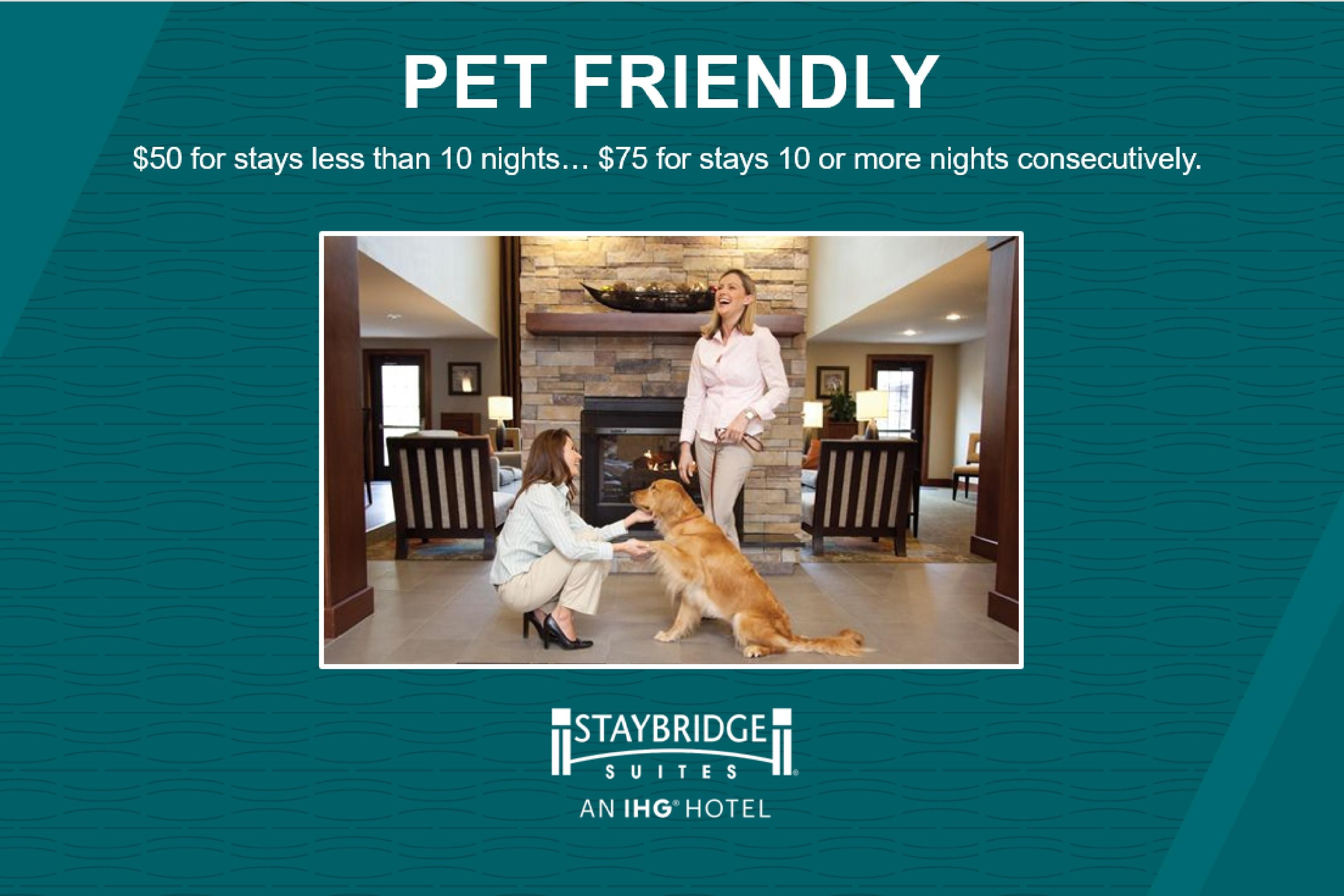 Bring your pet! We are a pet friendly hotel, so you can bring your 4 legged family with you on your travels. 