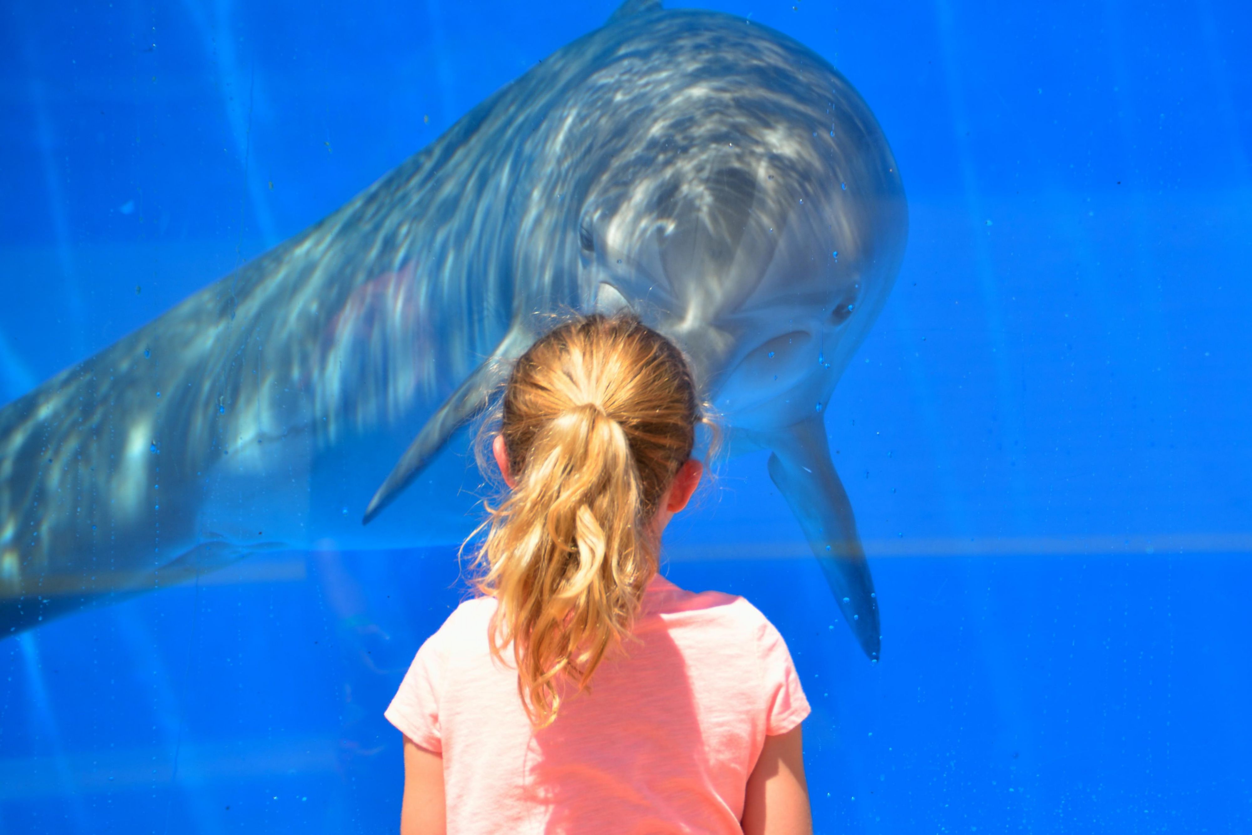Explore the Aquarium of the Pacific