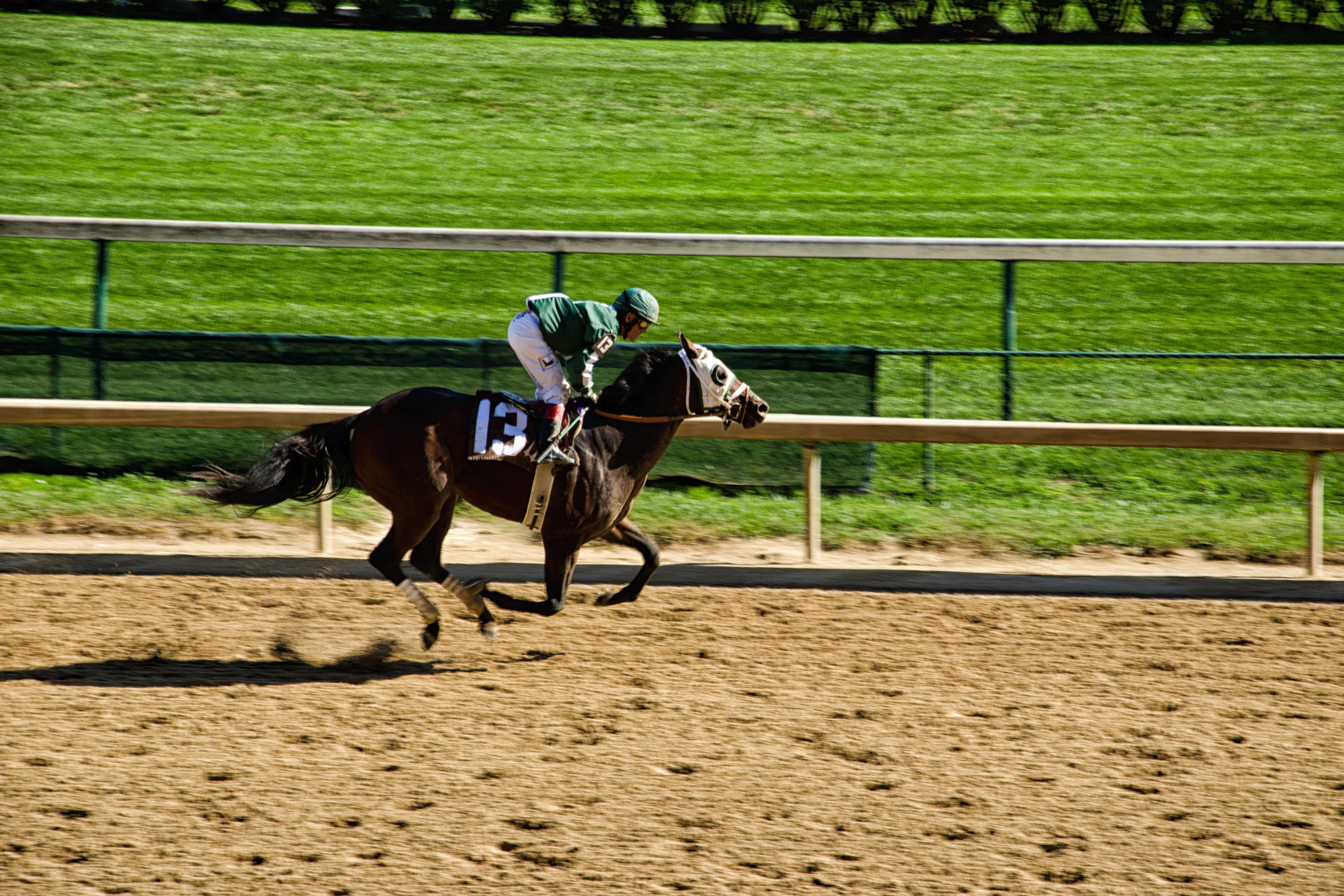 Welcome to Louisville, home of the Kentucky Derby Museum