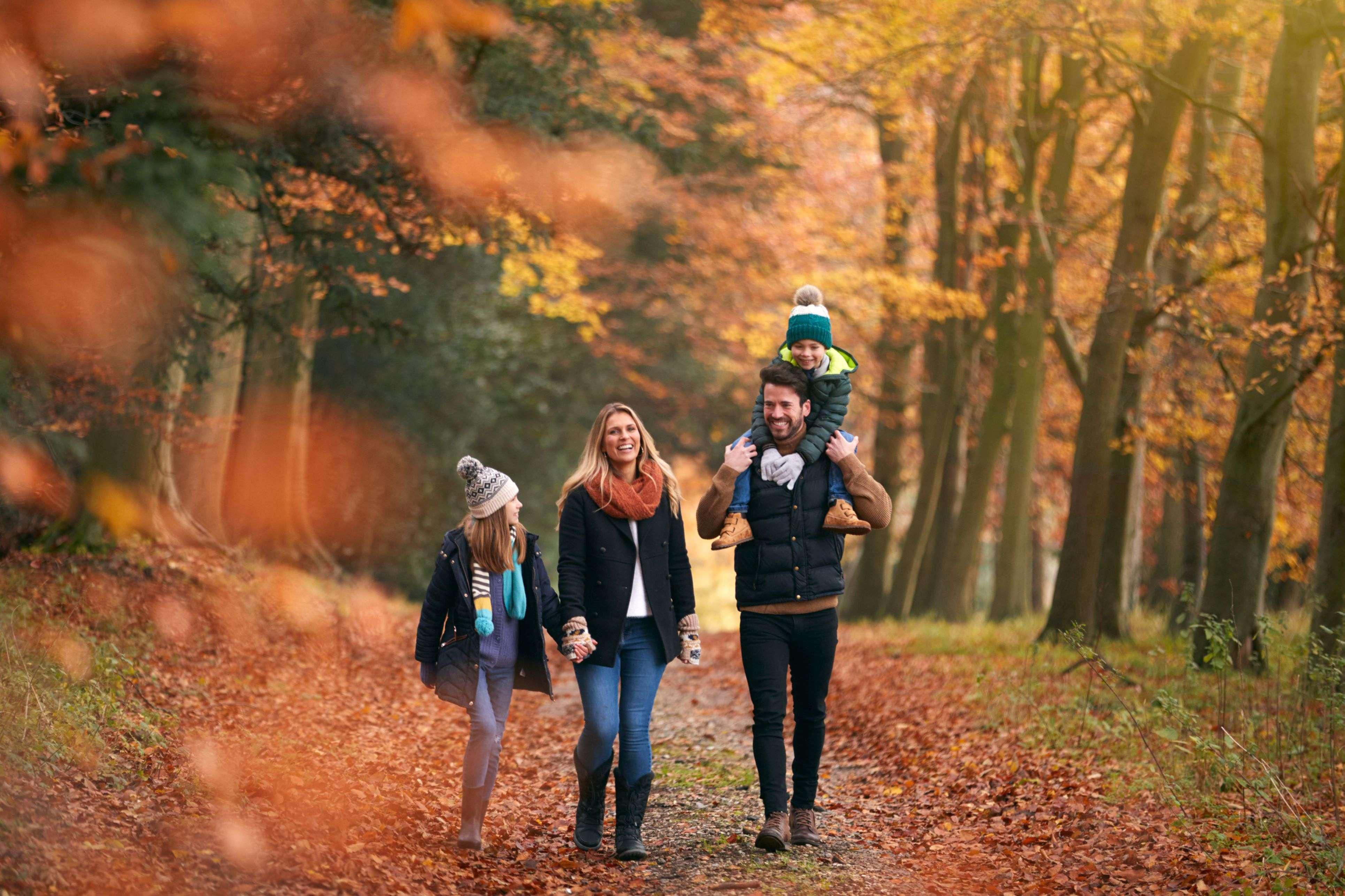 Marquette is a city that comes alive in the summer and fall, and people who travel here love the great outdoors. That's why we offer an excellent sport court and direct access to Marquette's bike path! Guests visiting UP Health Systems can walk to the hospital within minutes, or adventurers can use it to explore Marquette. 