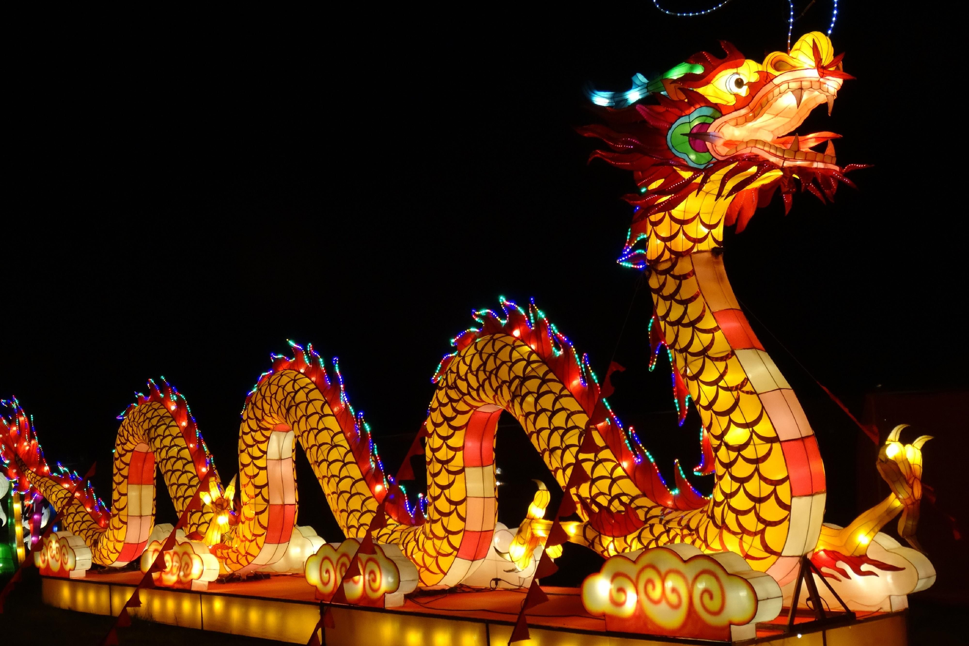 After an enchanting evening among glowing lanterns, come back to the familiar comfort of Staybridge Suites. We're the perfect place to gather with loved ones and share the magic of the NC Chinese Lantern Festival. Relax and recharge with us, because we're here so you can create lasting memories together.