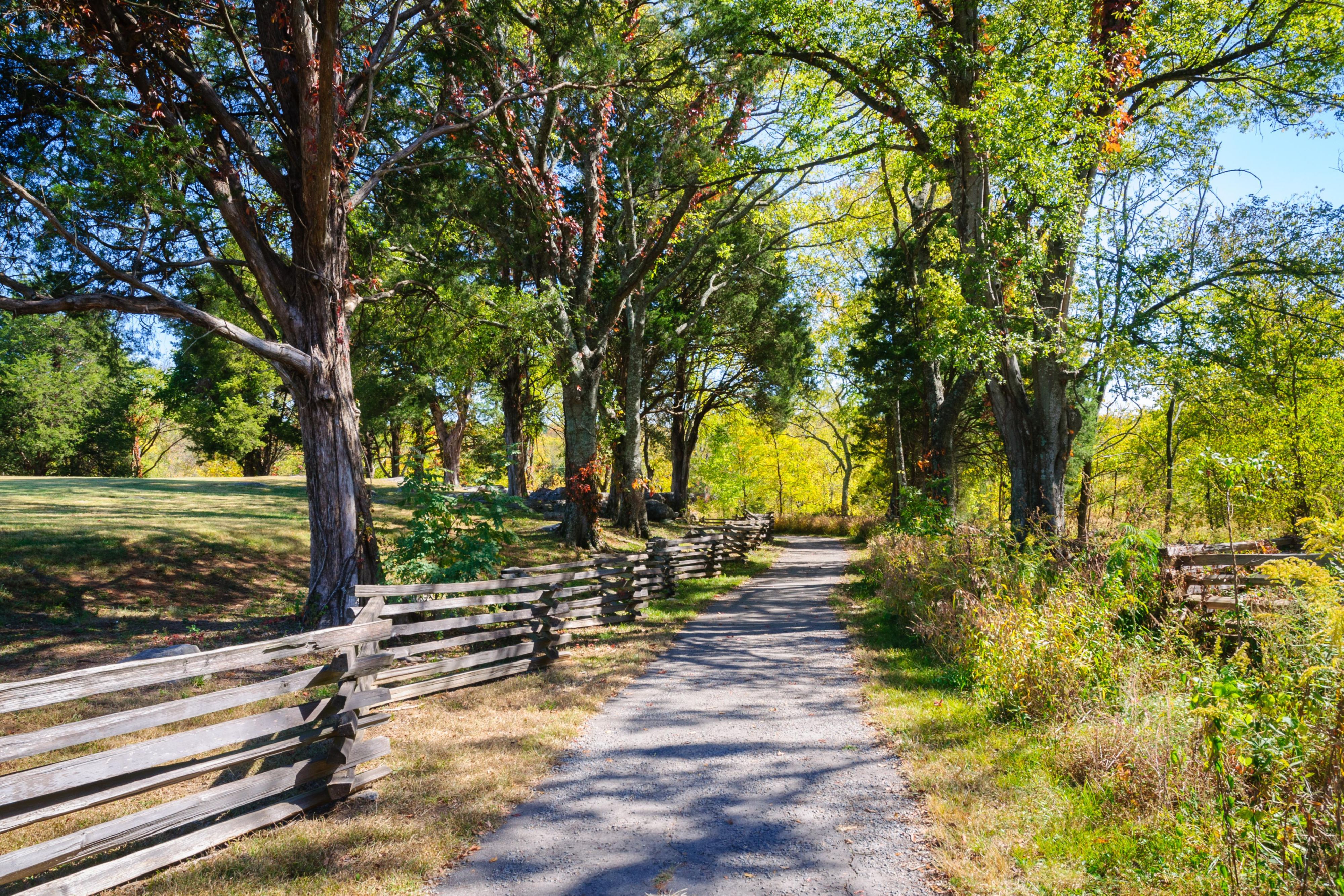 Visit Stones River National Battlefield nearby. 