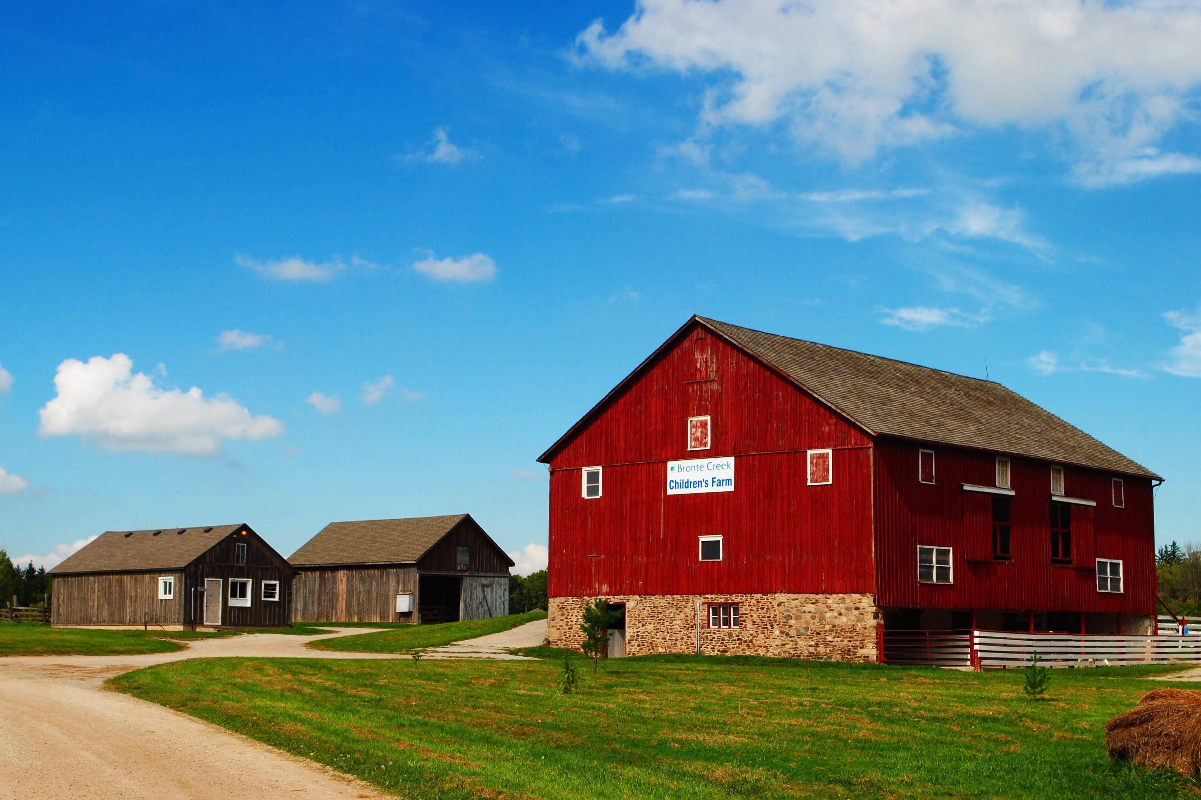 Nestled in Bronte Creek Provincial Park, Oakville, the Children's Play Barn is a beloved spot for families. Set in a 19th-century barn, with farm animals like goats, pigs, and chickens, creating a fun and interactive farm experience.