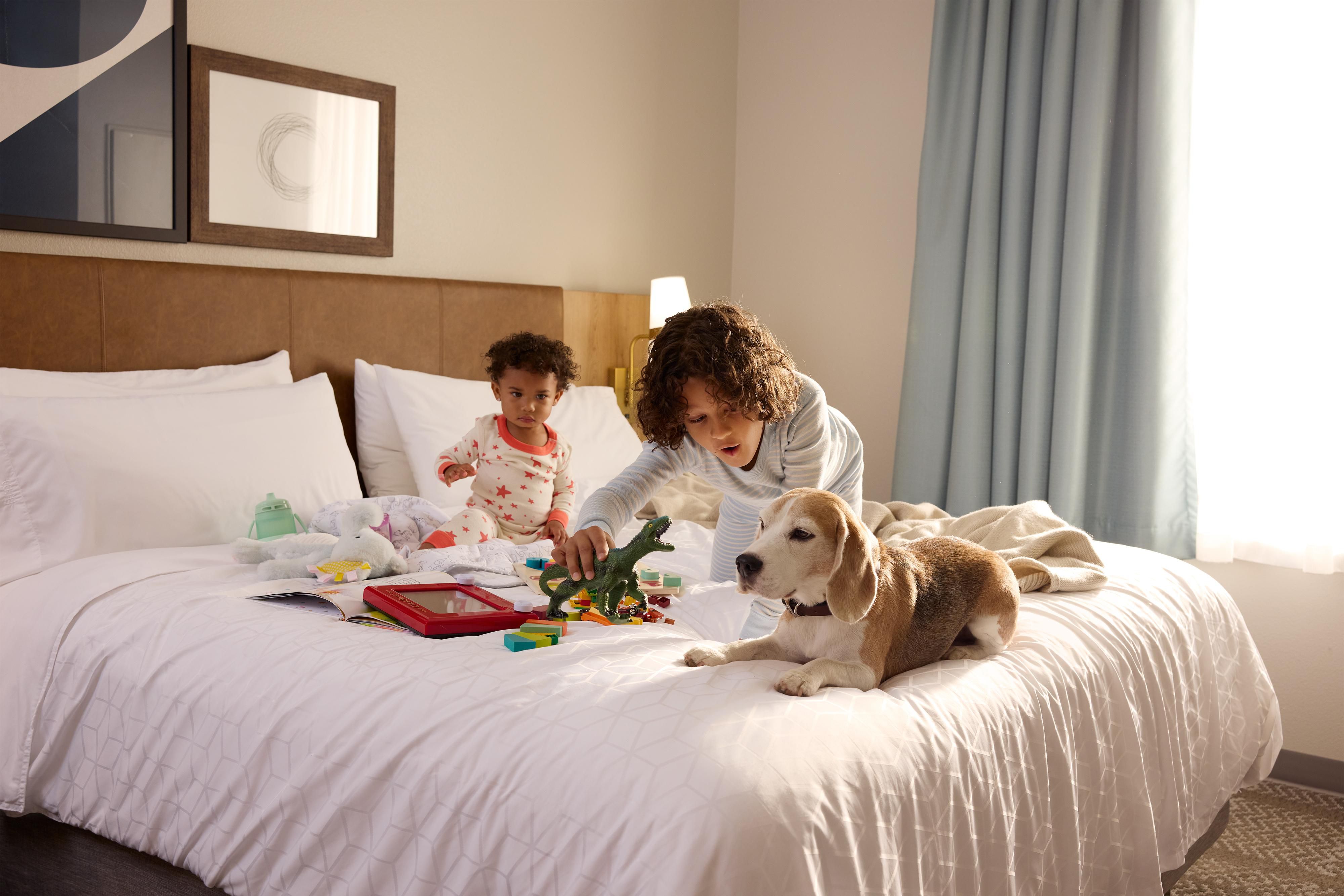 Staybridge Suites is proud to be a pet-friendly hotel, because we know your furry friends are part of the family too! Whether you're staying for a few nights or an extended visit, your pets are welcome to join you. 
