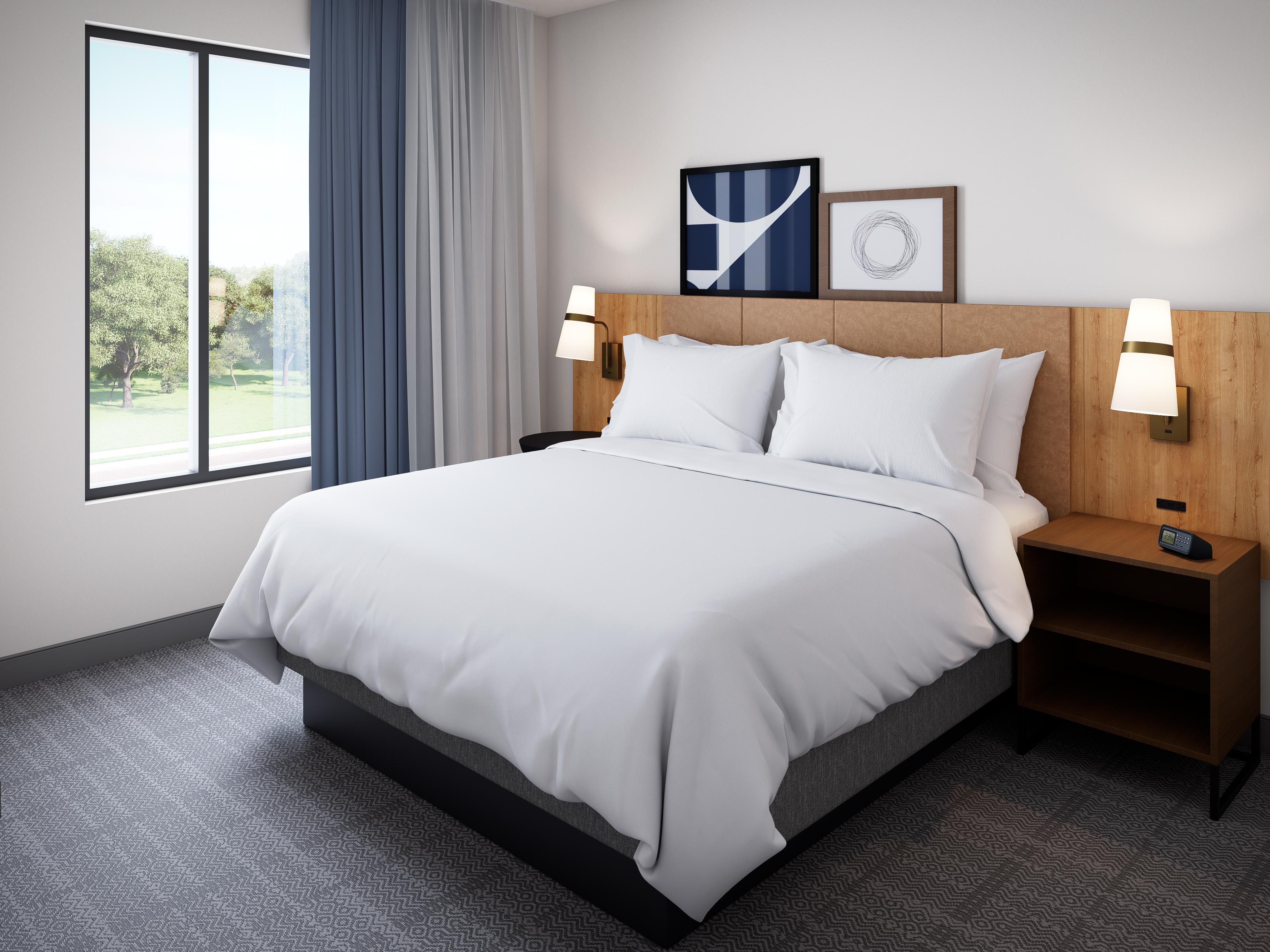 1 King One Bedroom Suite with a view