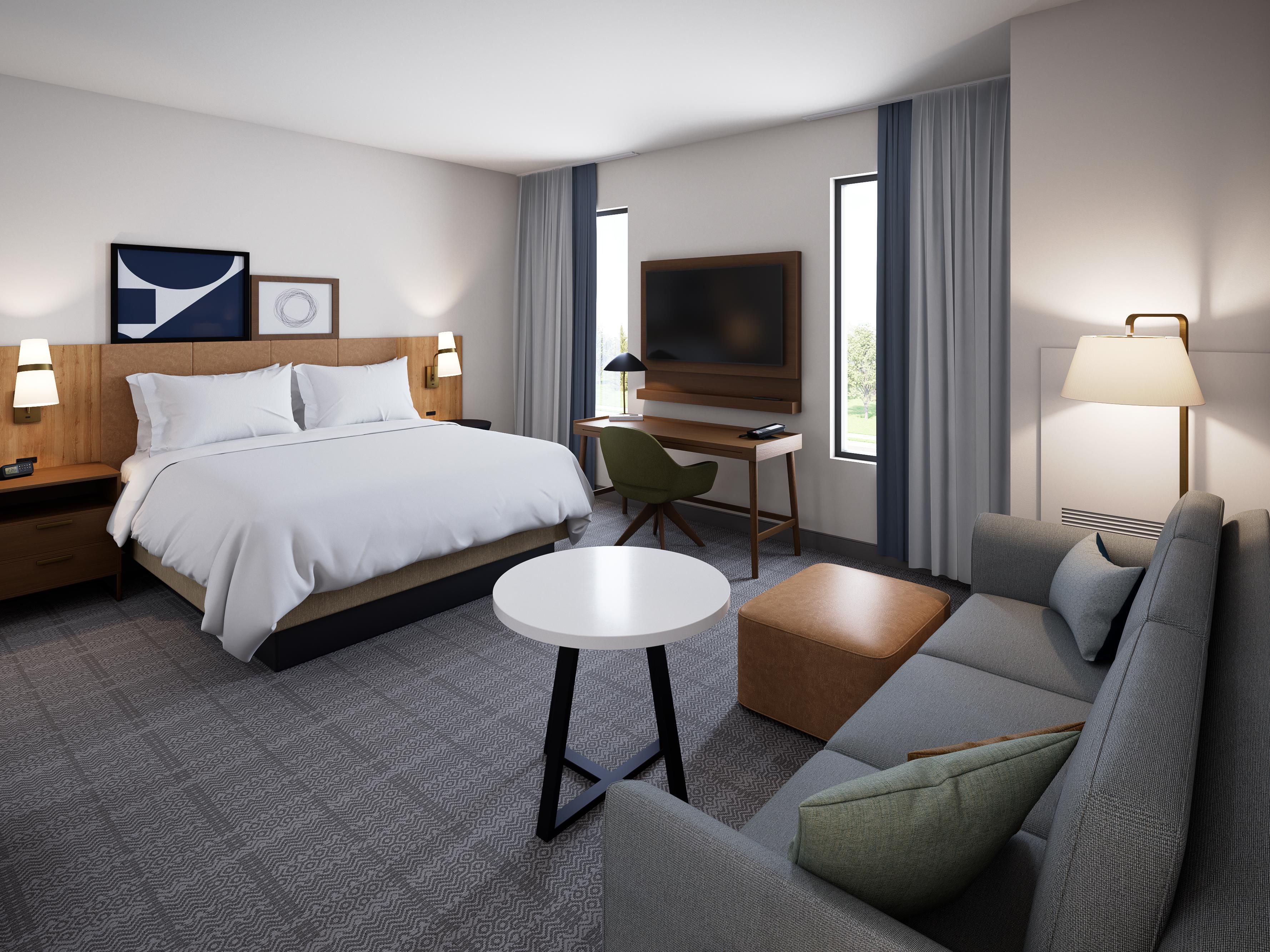 1 King Bed Studio Suite living area