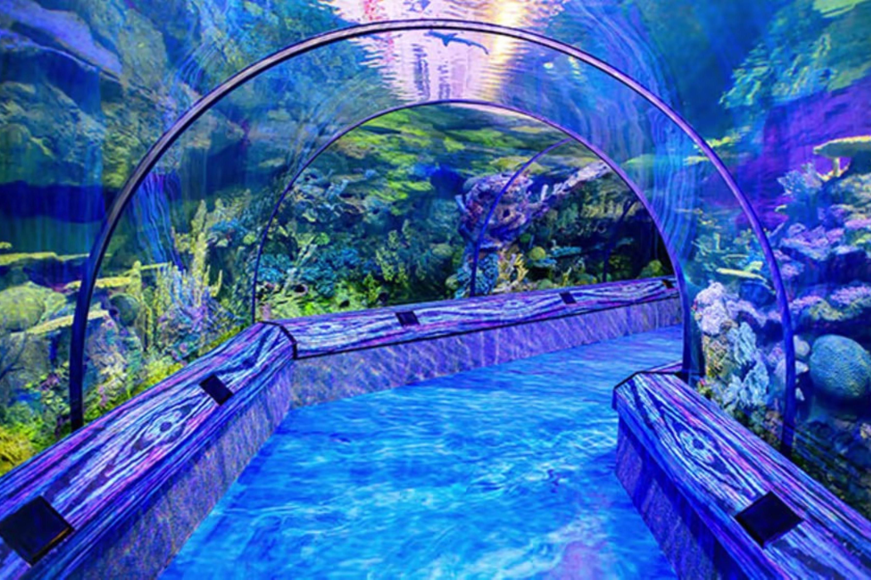 Easy Orlando arrivals with hotel access near MCO Airport