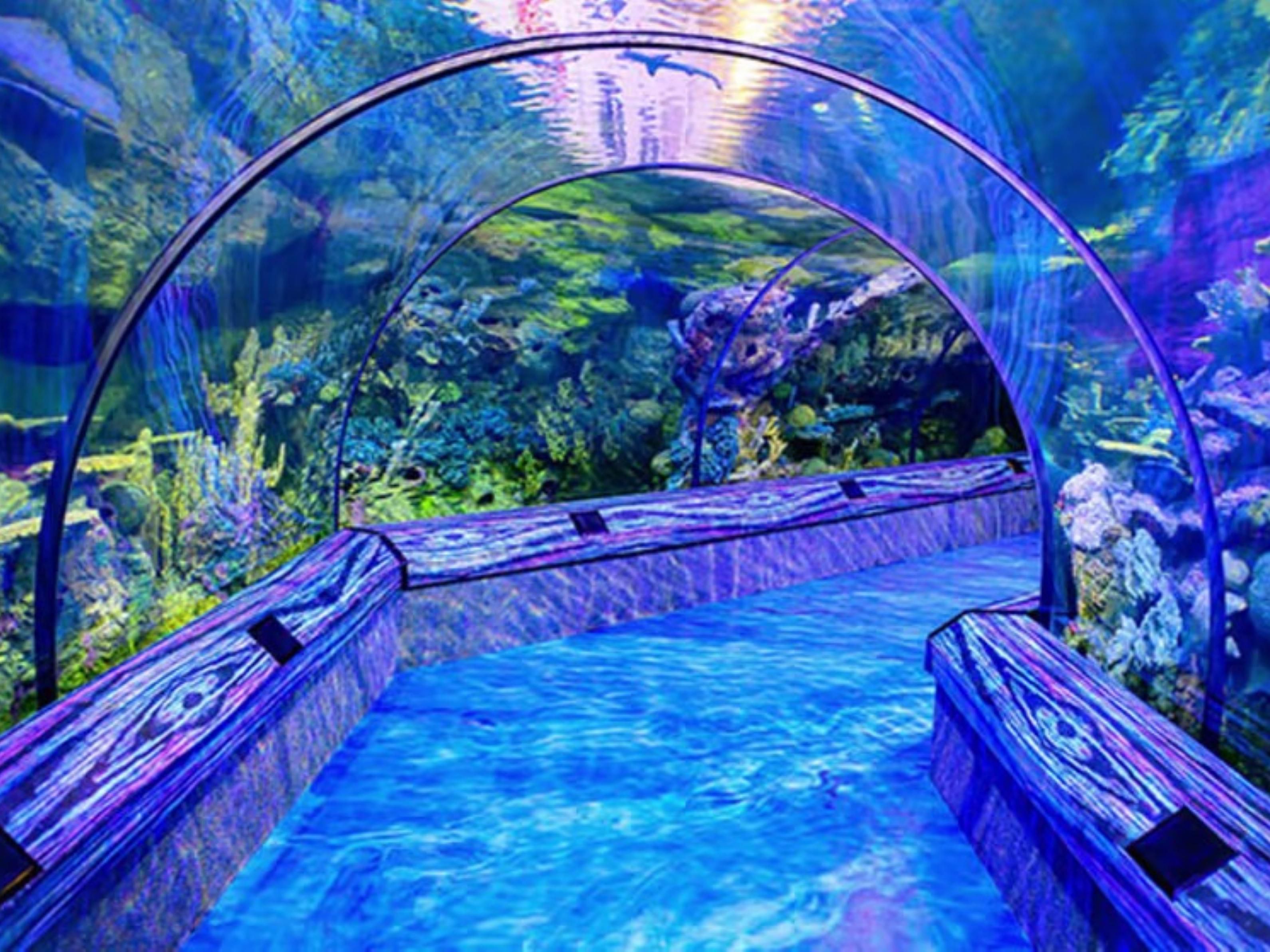 SeaWorld Orlando aquarium