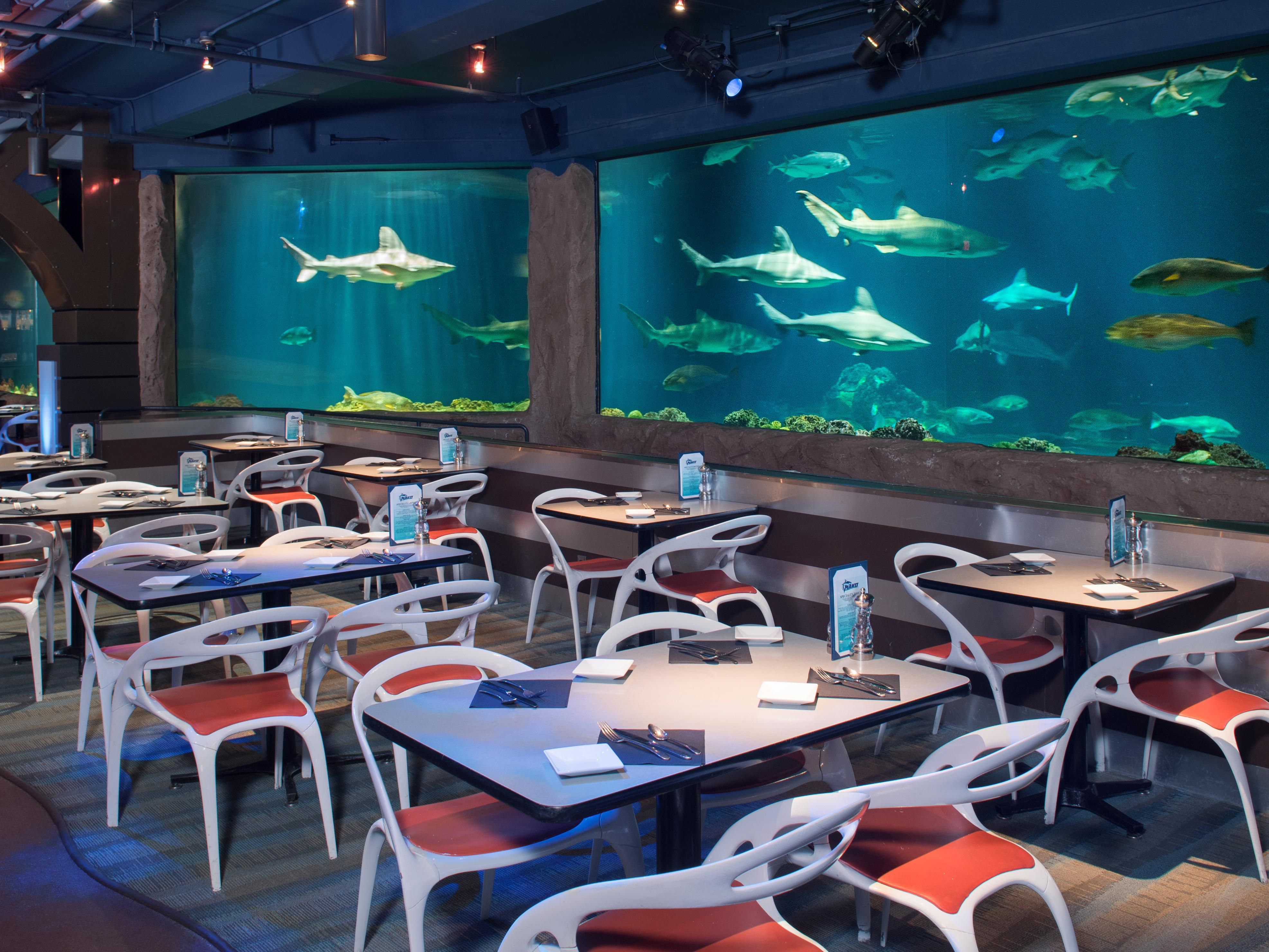 VIP Priority Entry into SeaWorld