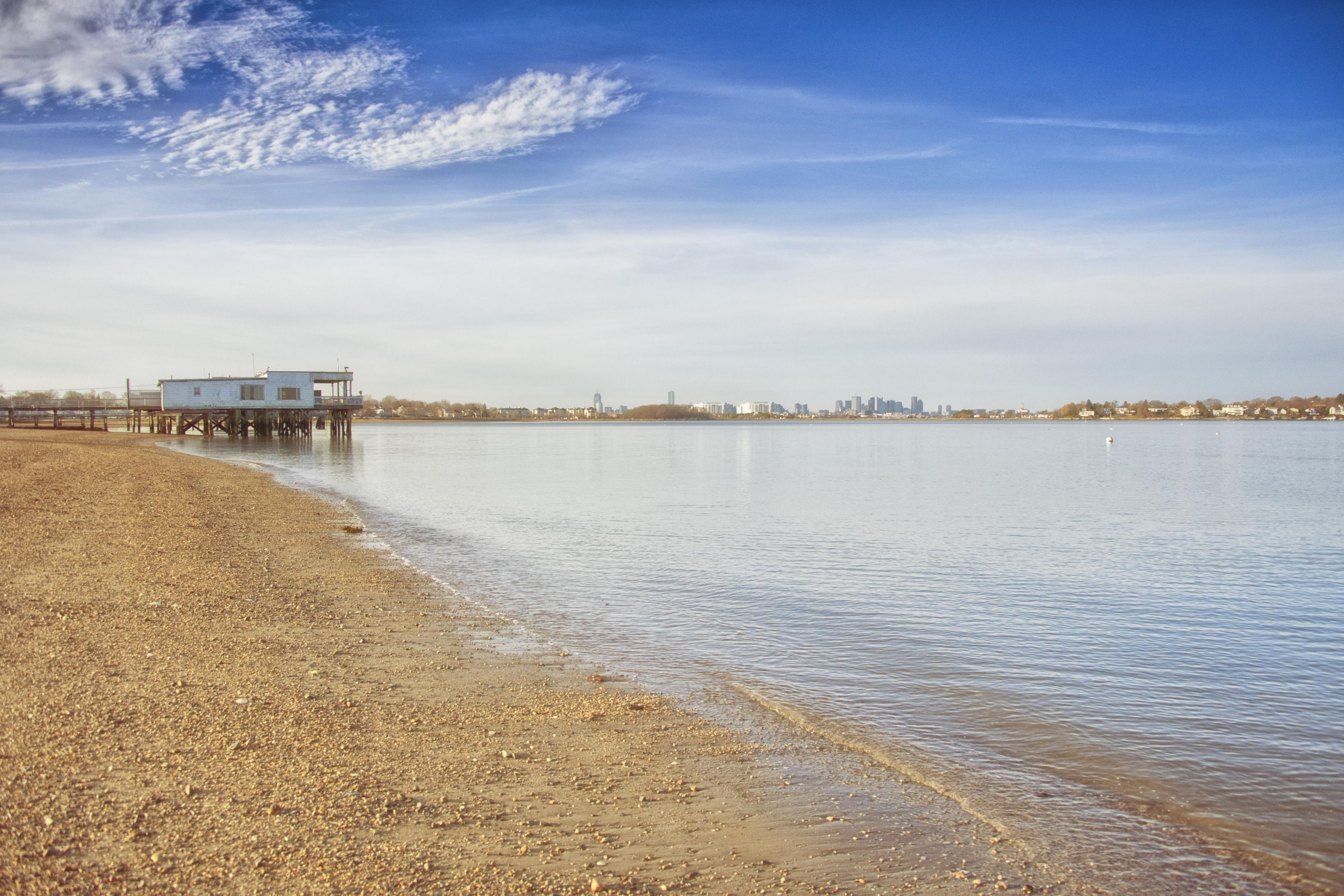 Wollaston Beach 