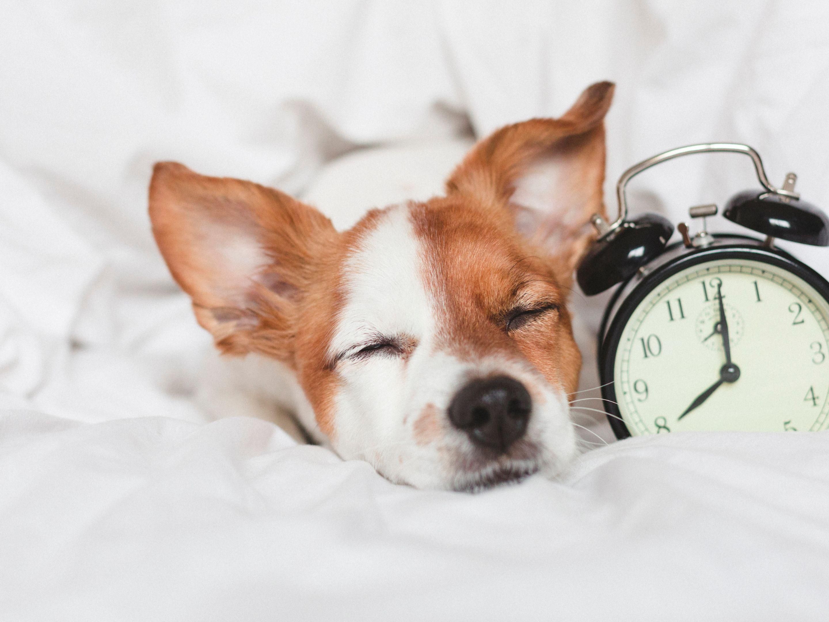 Hotels In Quincy MA Extended Stay Suites Staybridge Suites Quincy